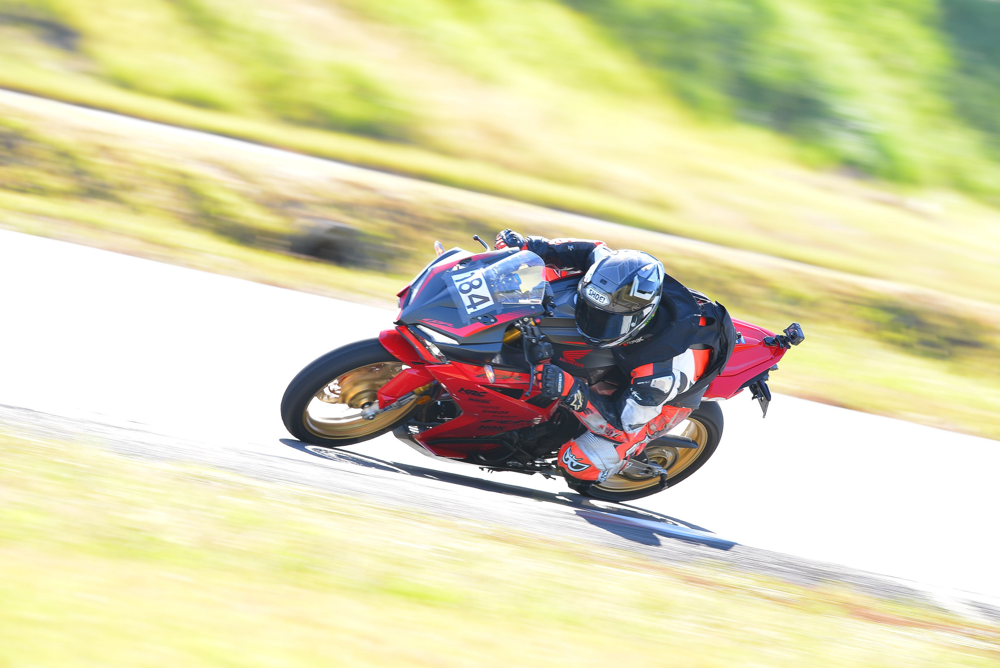 D8J_0422.JPG