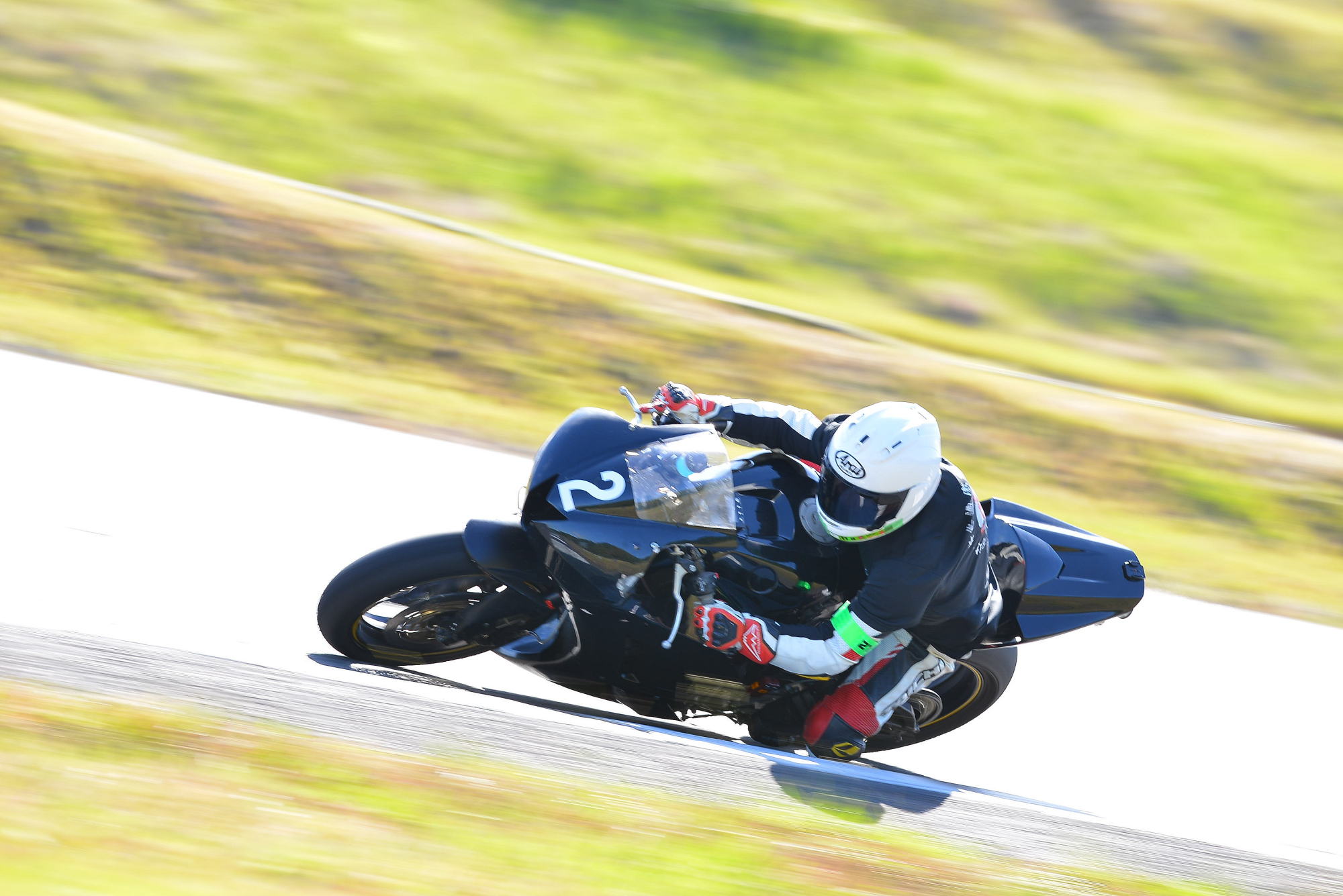 D8J_0466.JPG