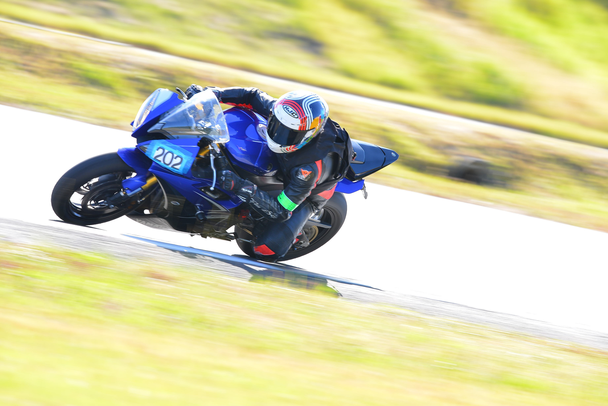 D8J_0469.JPG