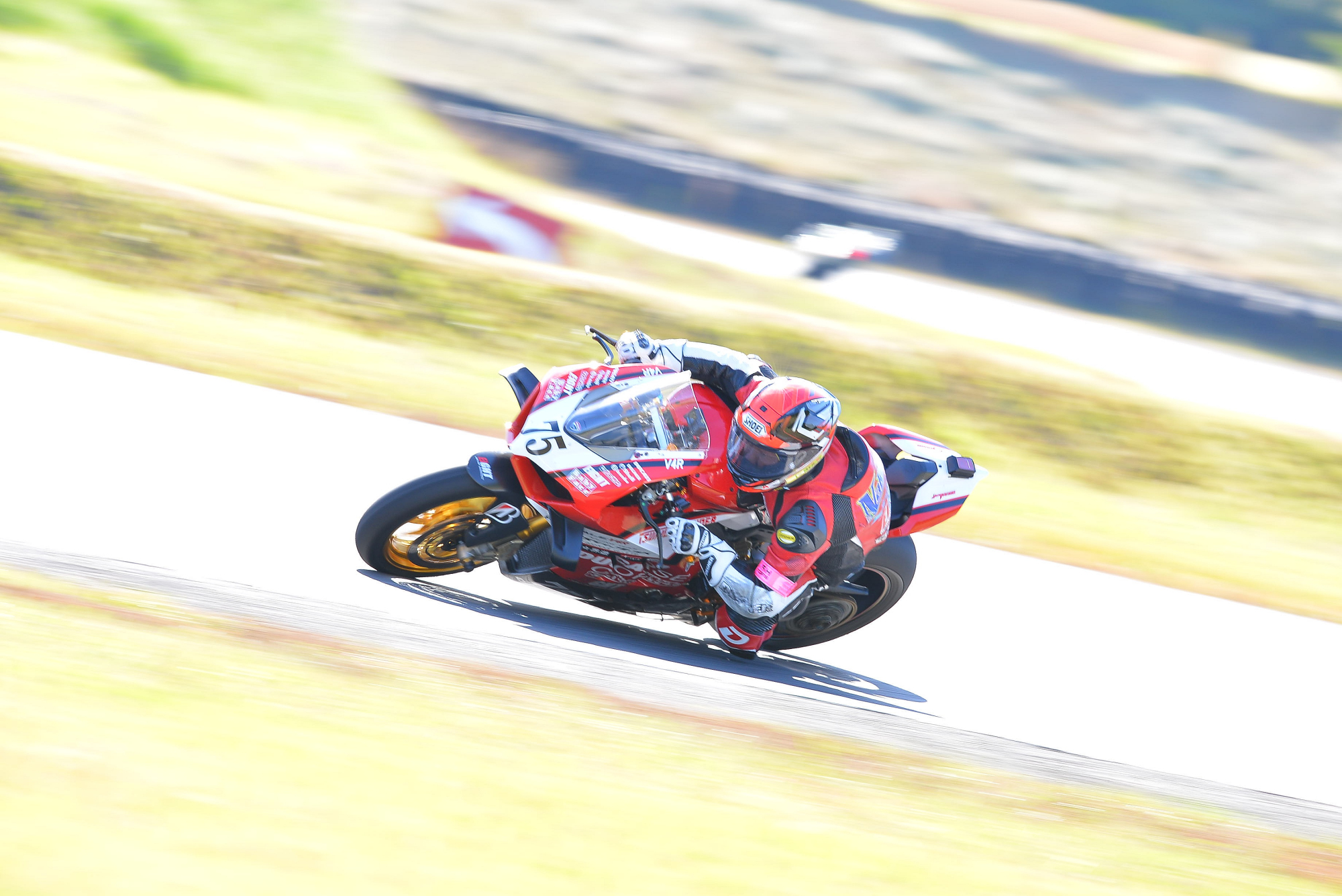 D8J_0474.JPG
