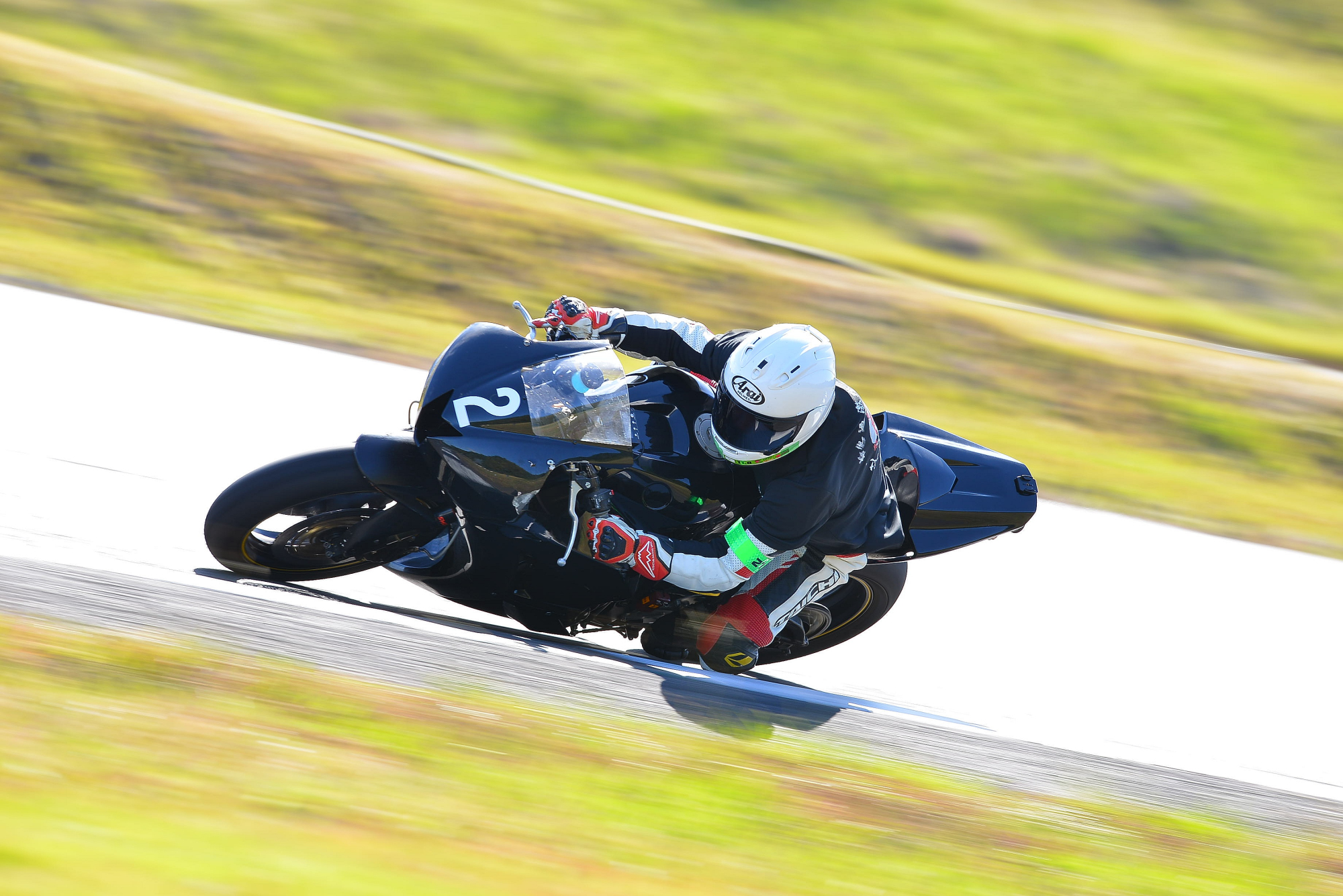D8J_0484.JPG