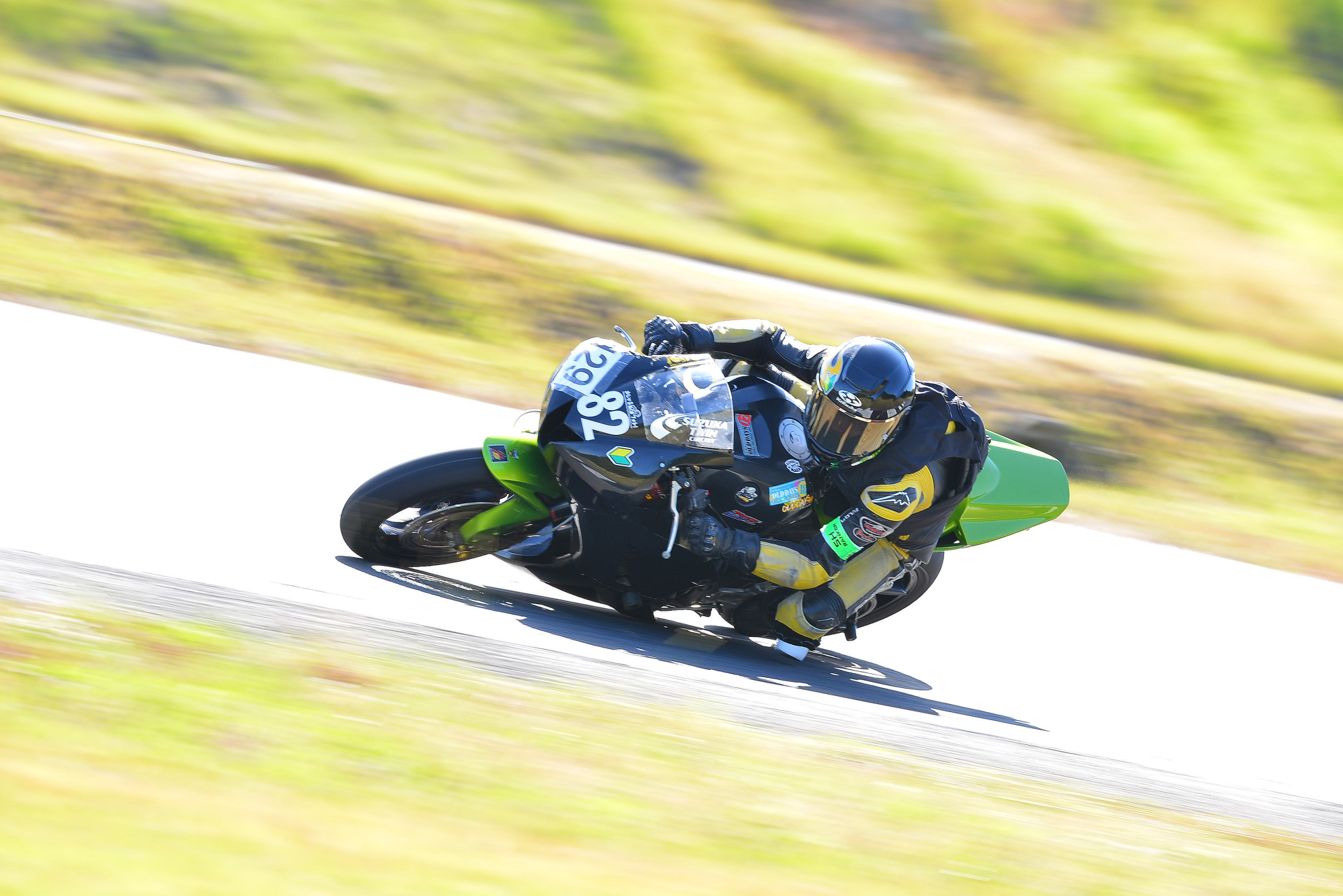 D8J_0485.JPG