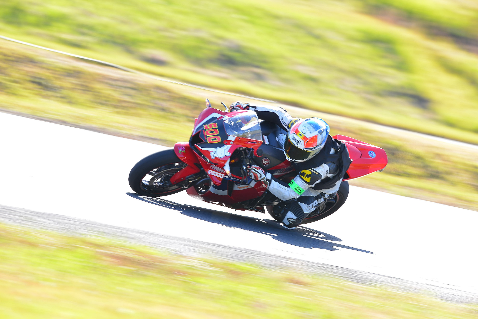 D8J_0499.JPG