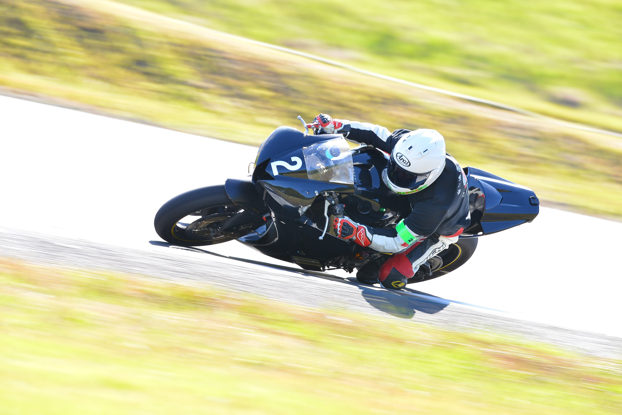 D8J_0501.JPG