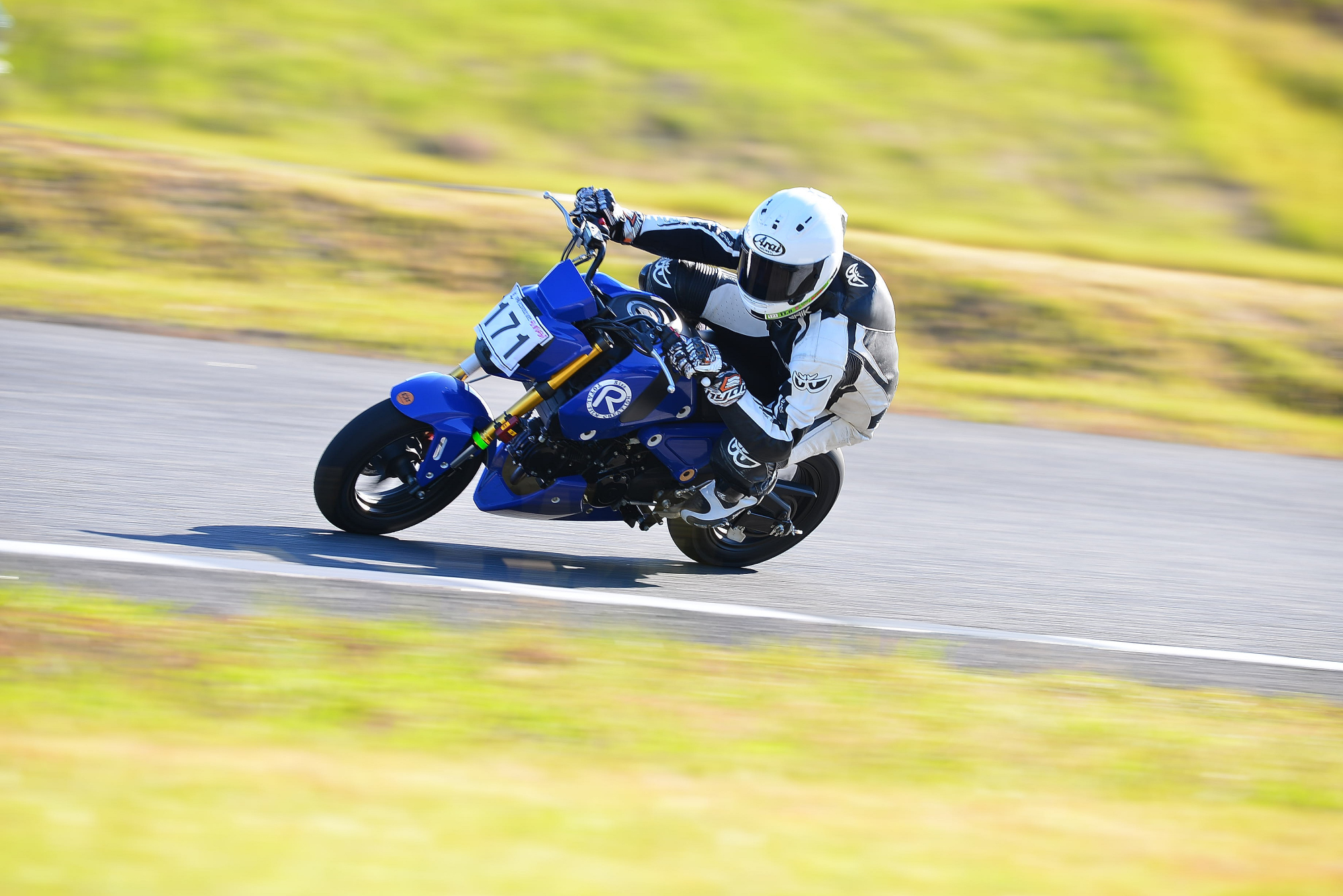 D8J_0597.JPG
