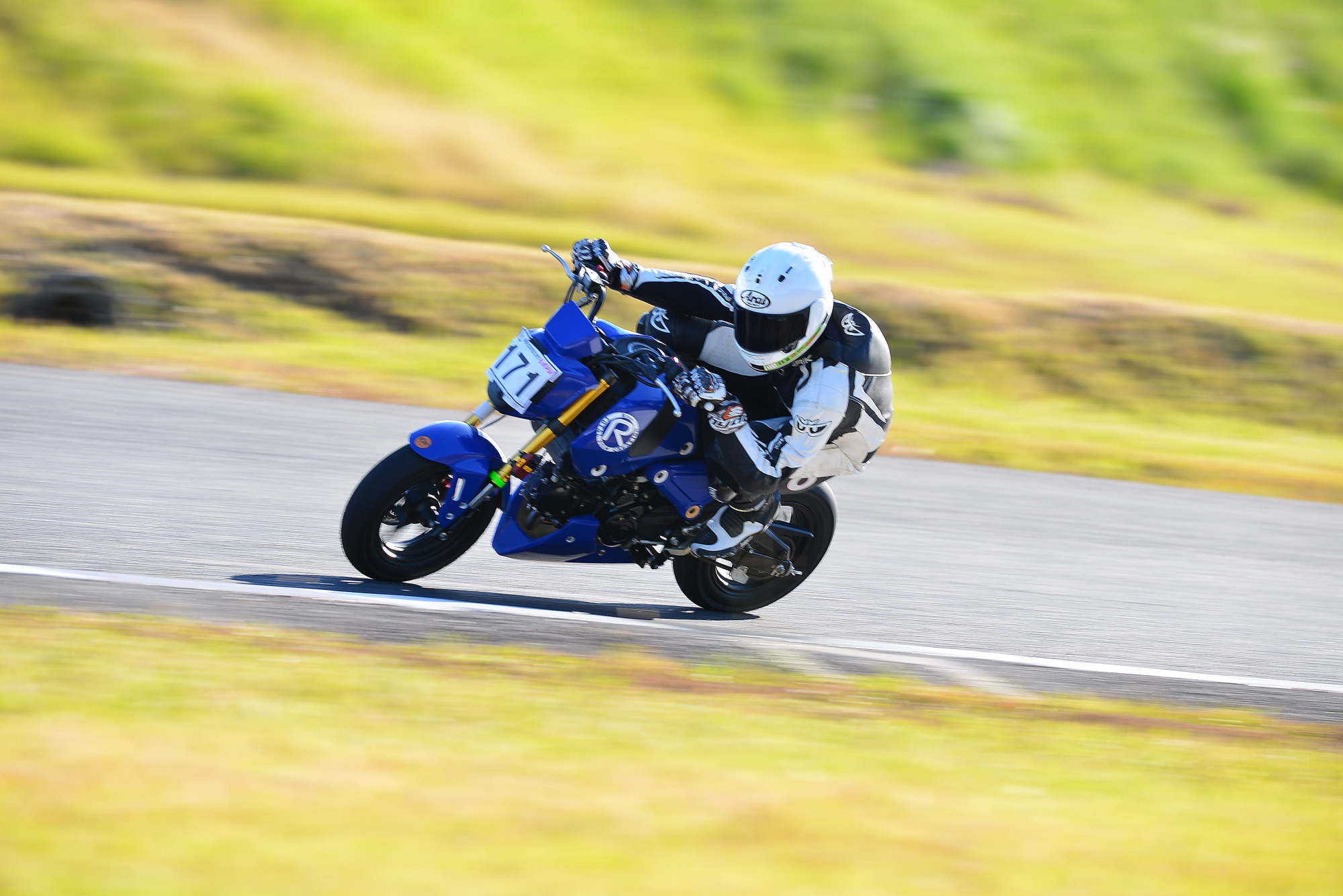 D8J_0619.JPG