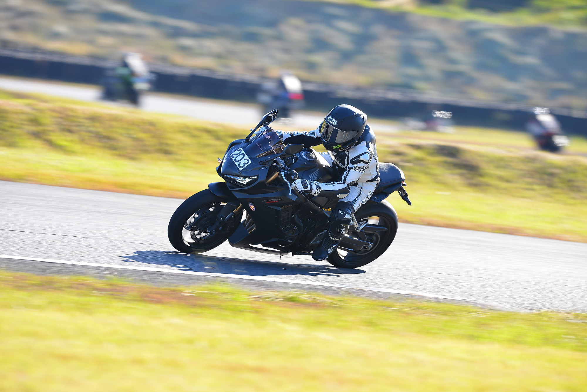 D8J_0625.JPG
