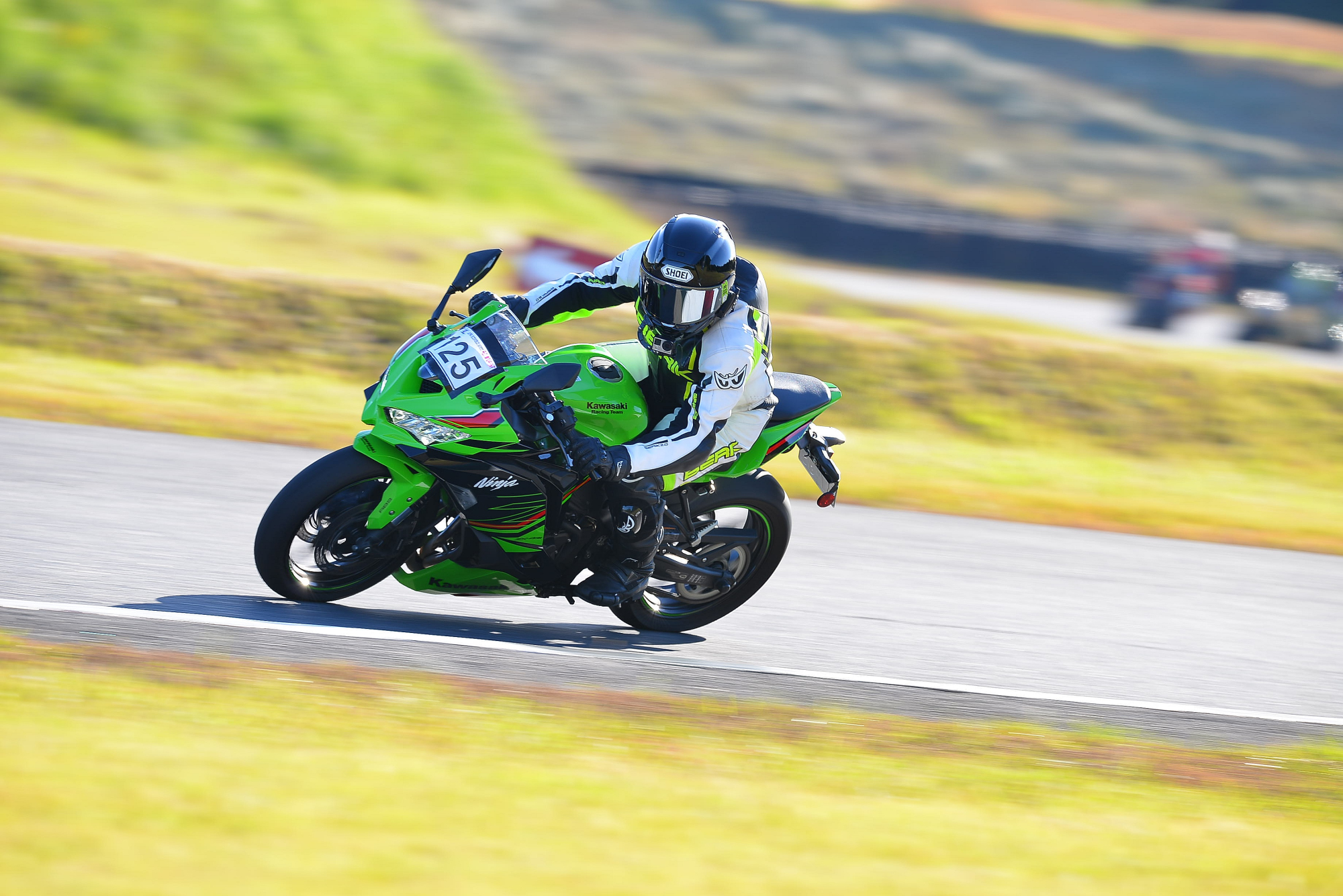 D8J_0637.JPG