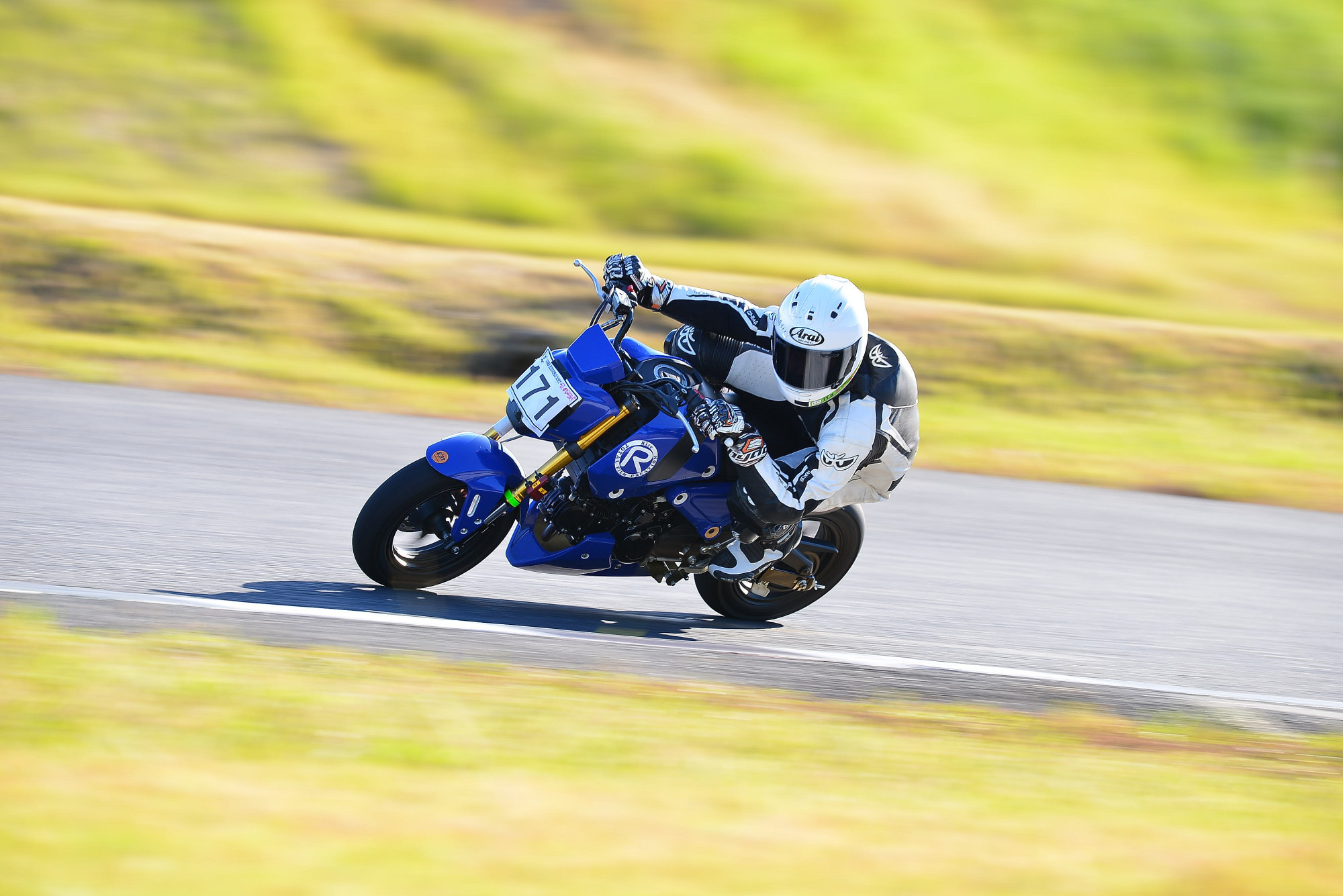 D8J_0645.JPG