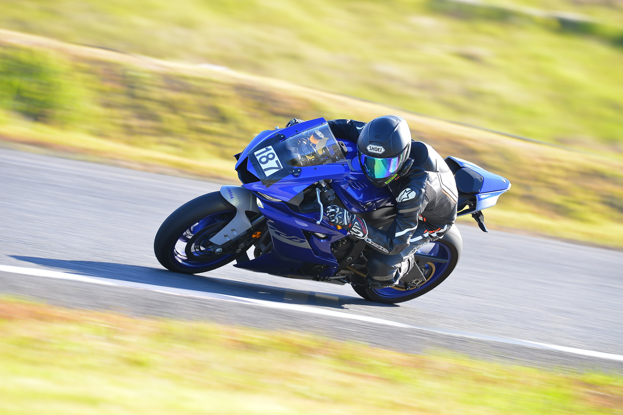 D8J_0695.JPG