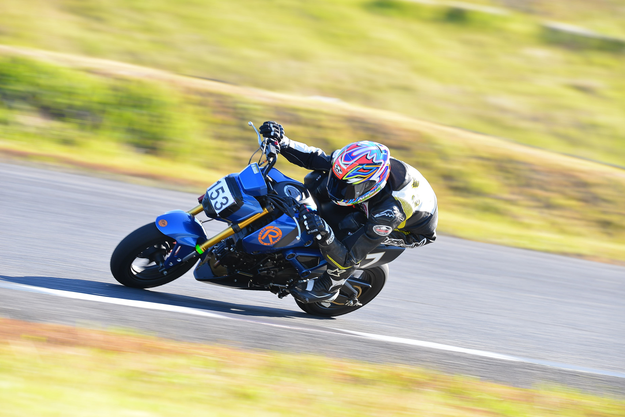 D8J_0737.JPG