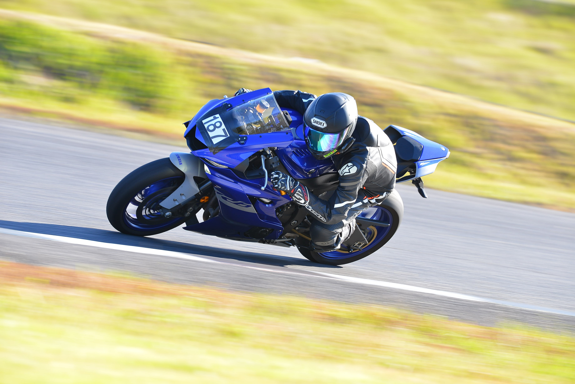 D8J_0742.JPG