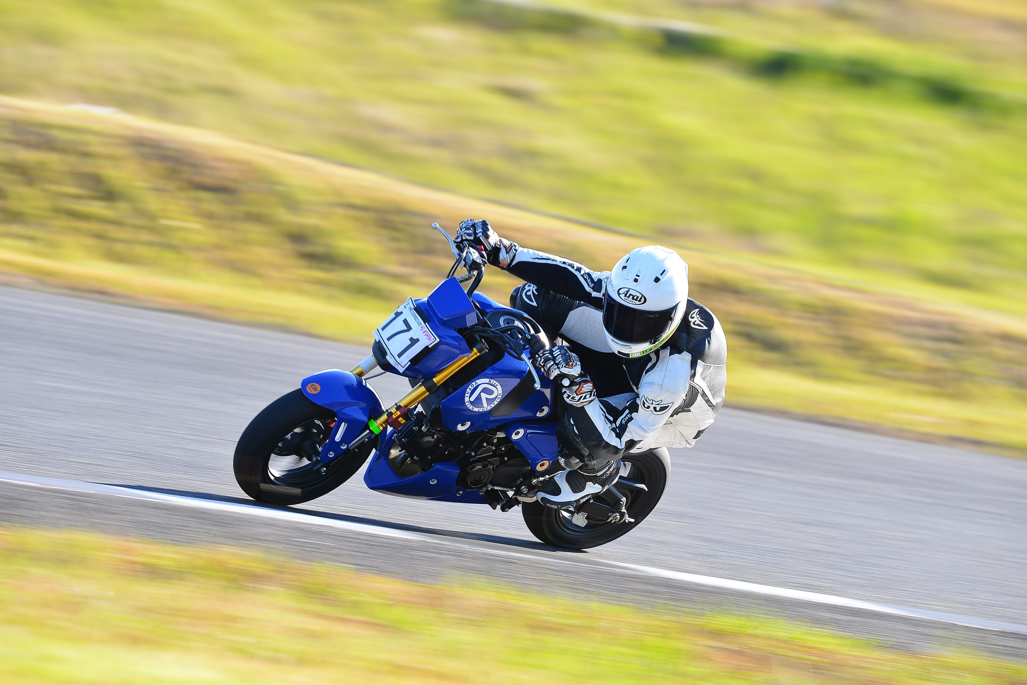 D8J_0761.JPG