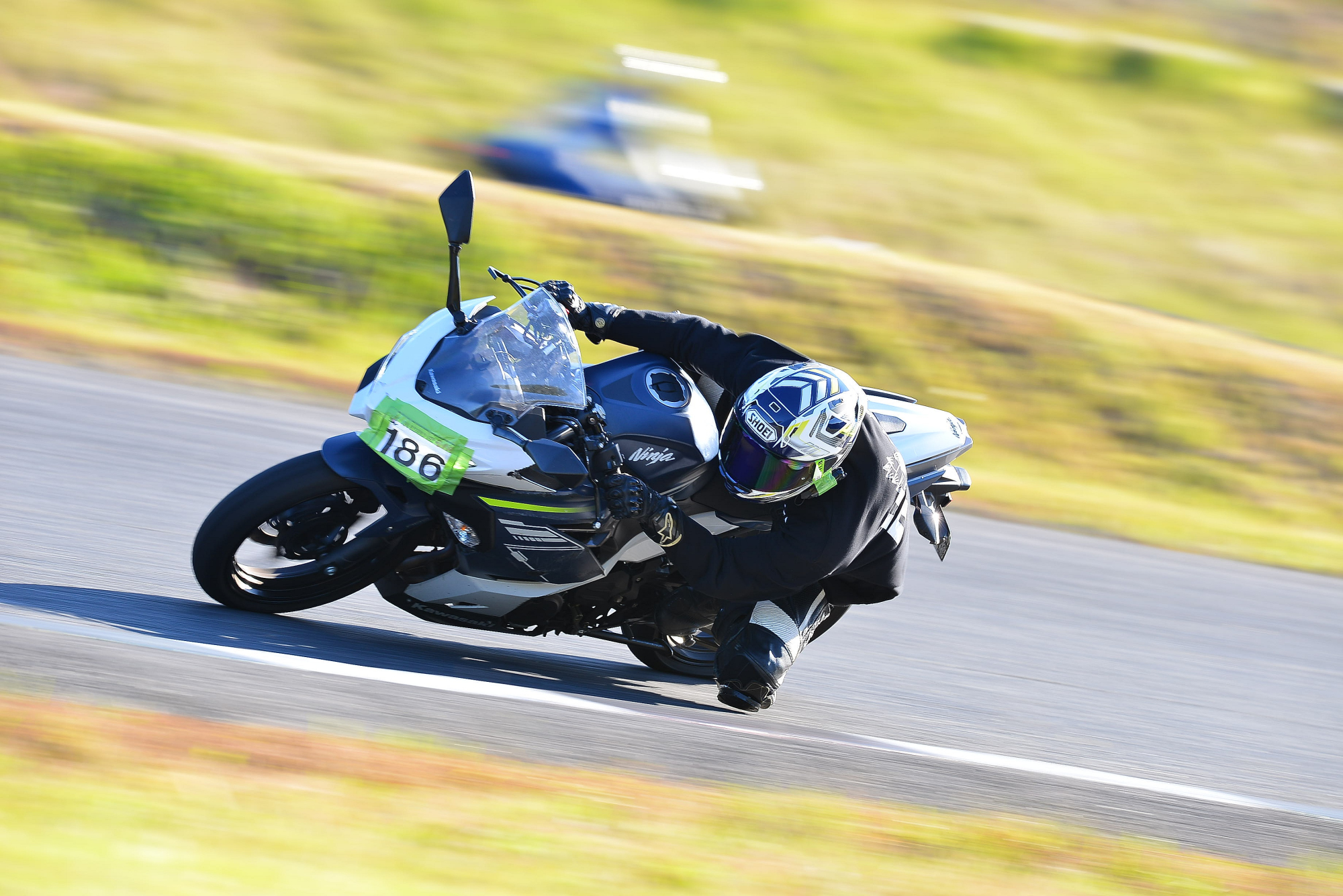 D8J_0764.JPG