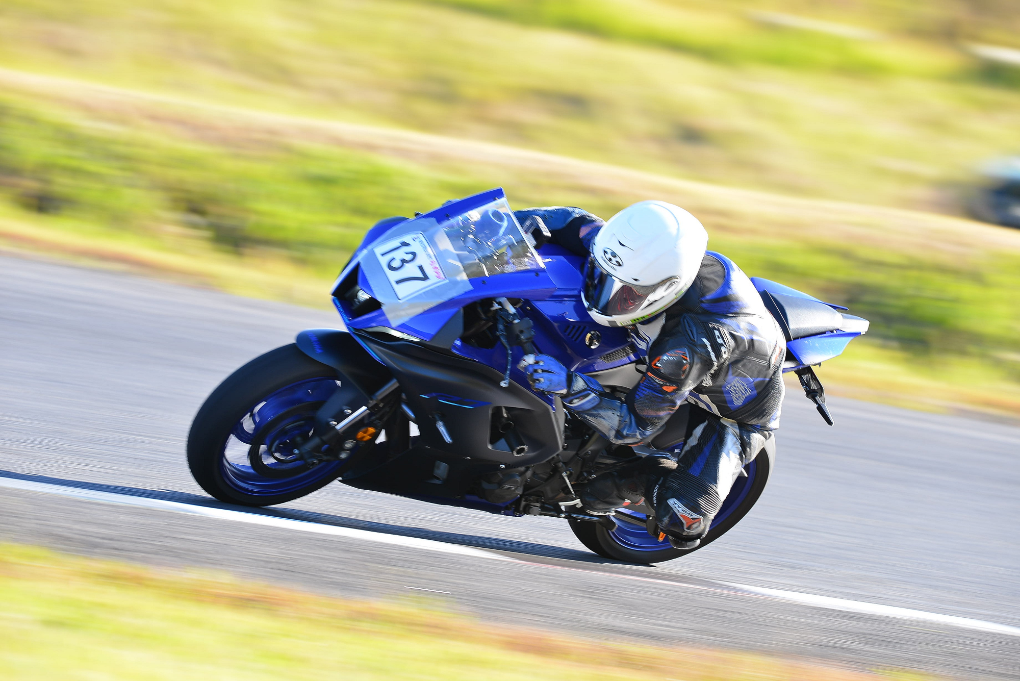 D8J_0775.JPG