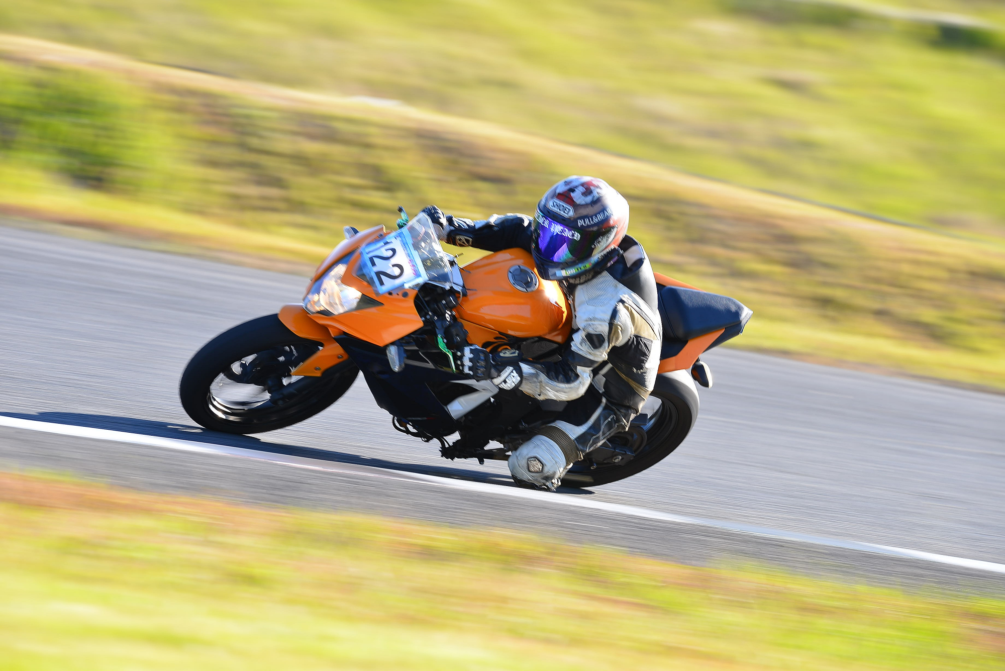 D8J_0782.JPG