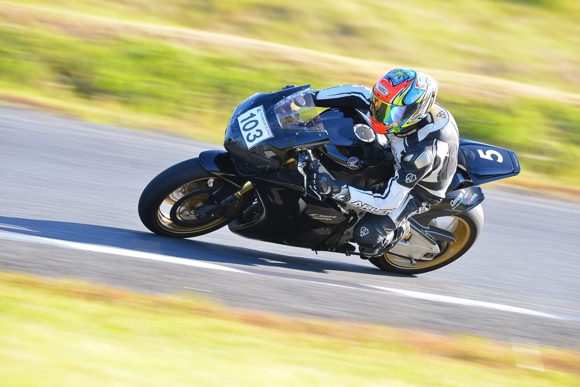 D8J_0785.JPG