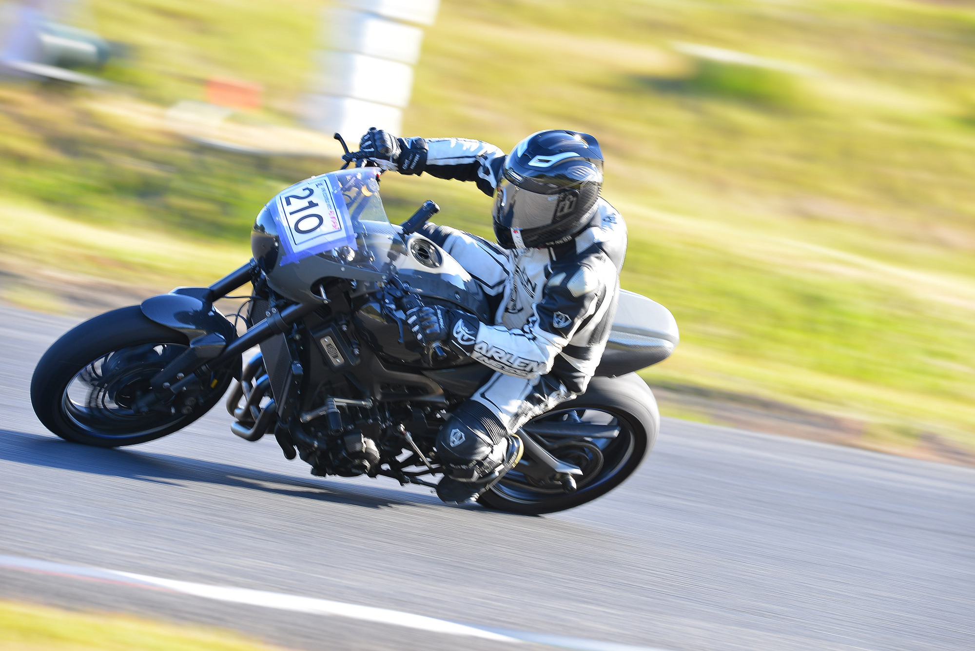 D8J_0822.JPG