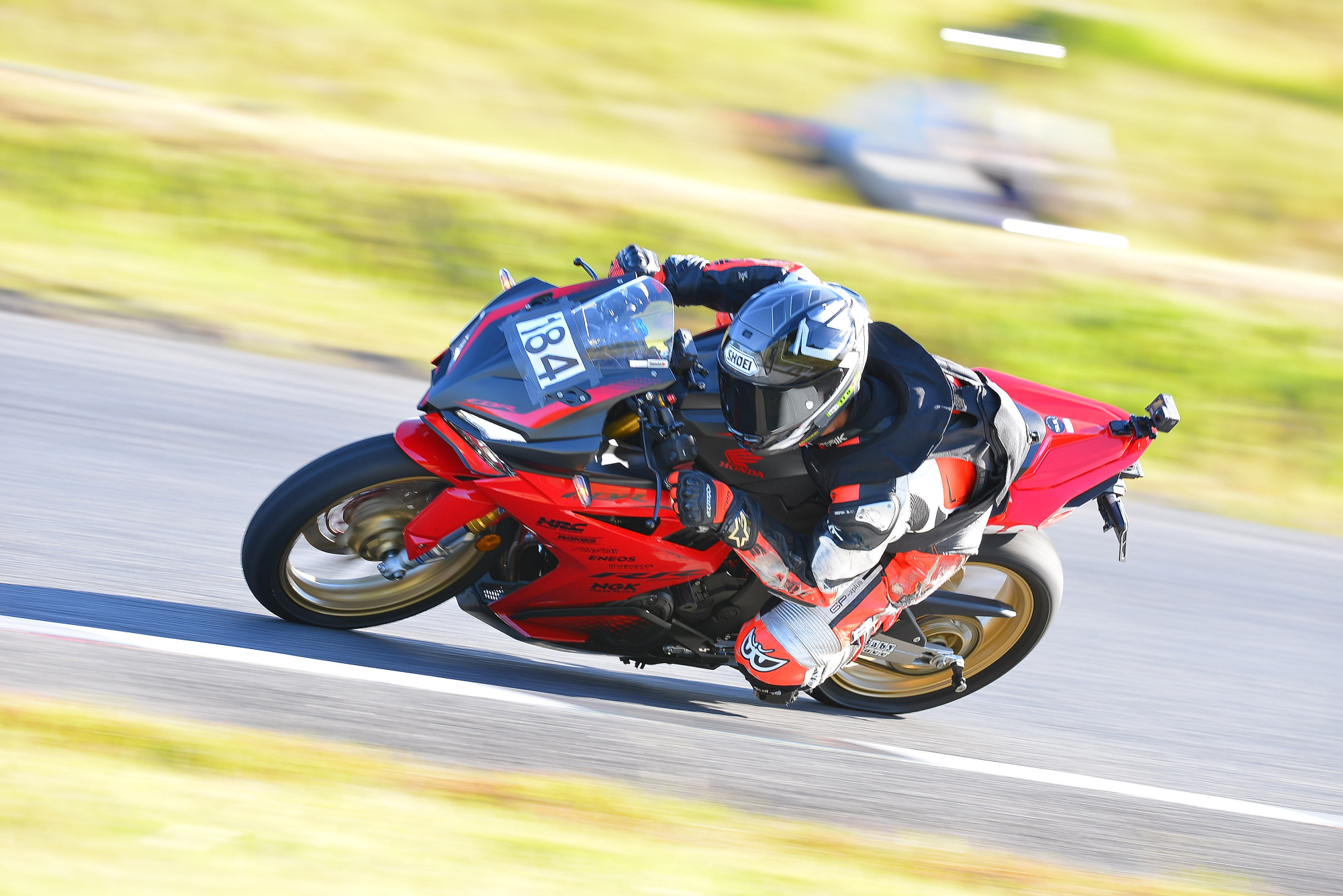 D8J_0833.JPG