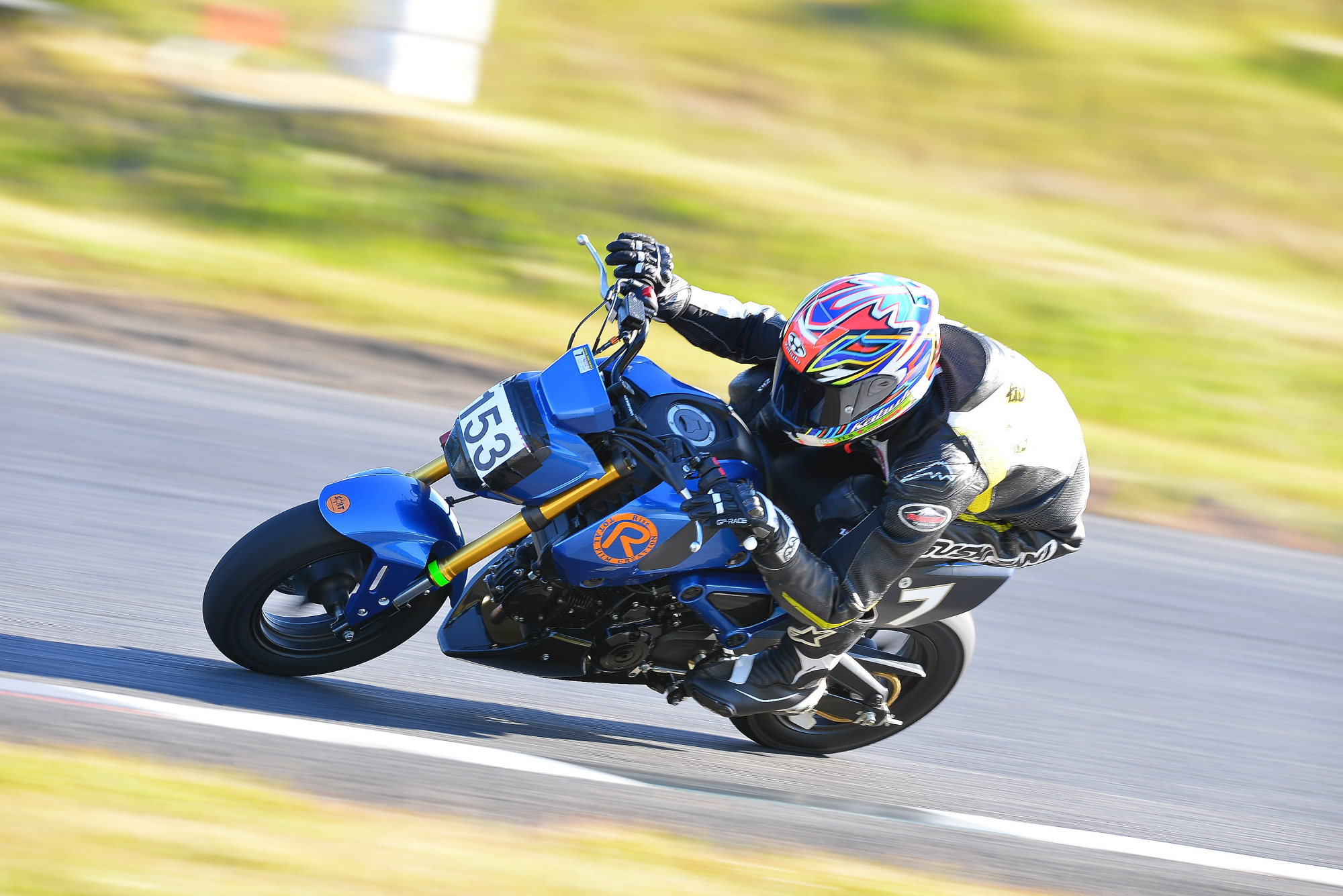 D8J_0837.JPG