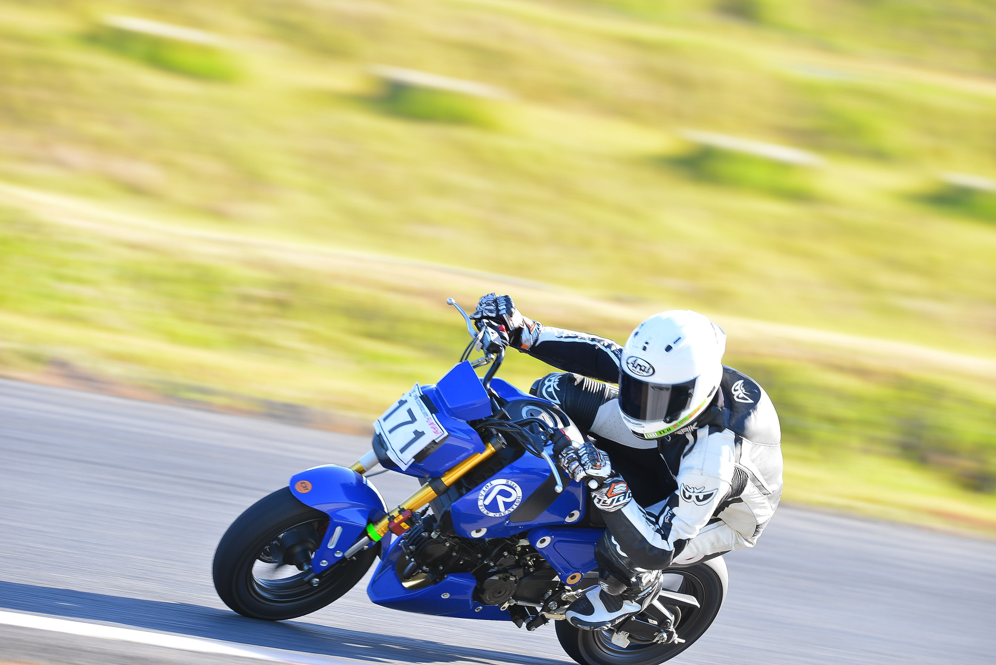 D8J_0838.JPG