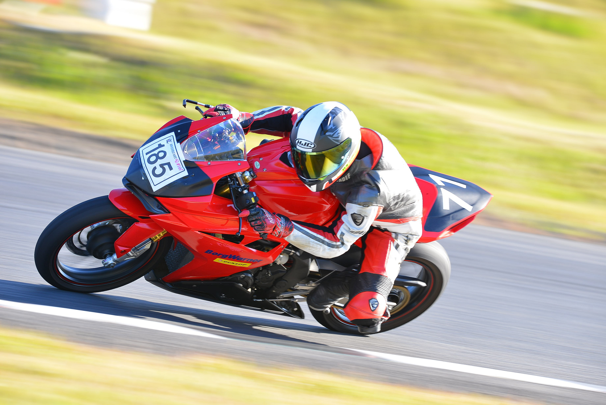 D8J_0848.JPG