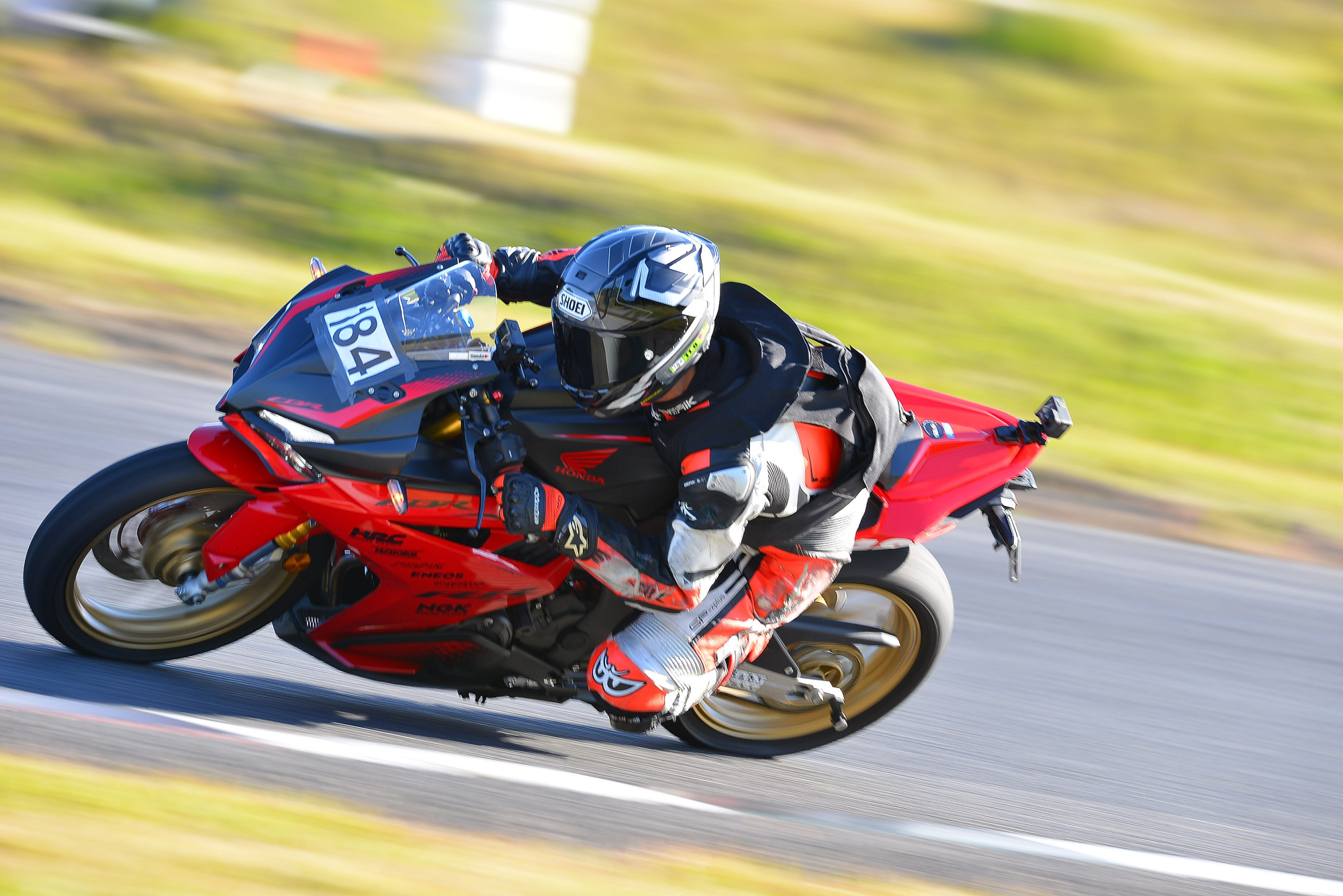 D8J_0861.JPG