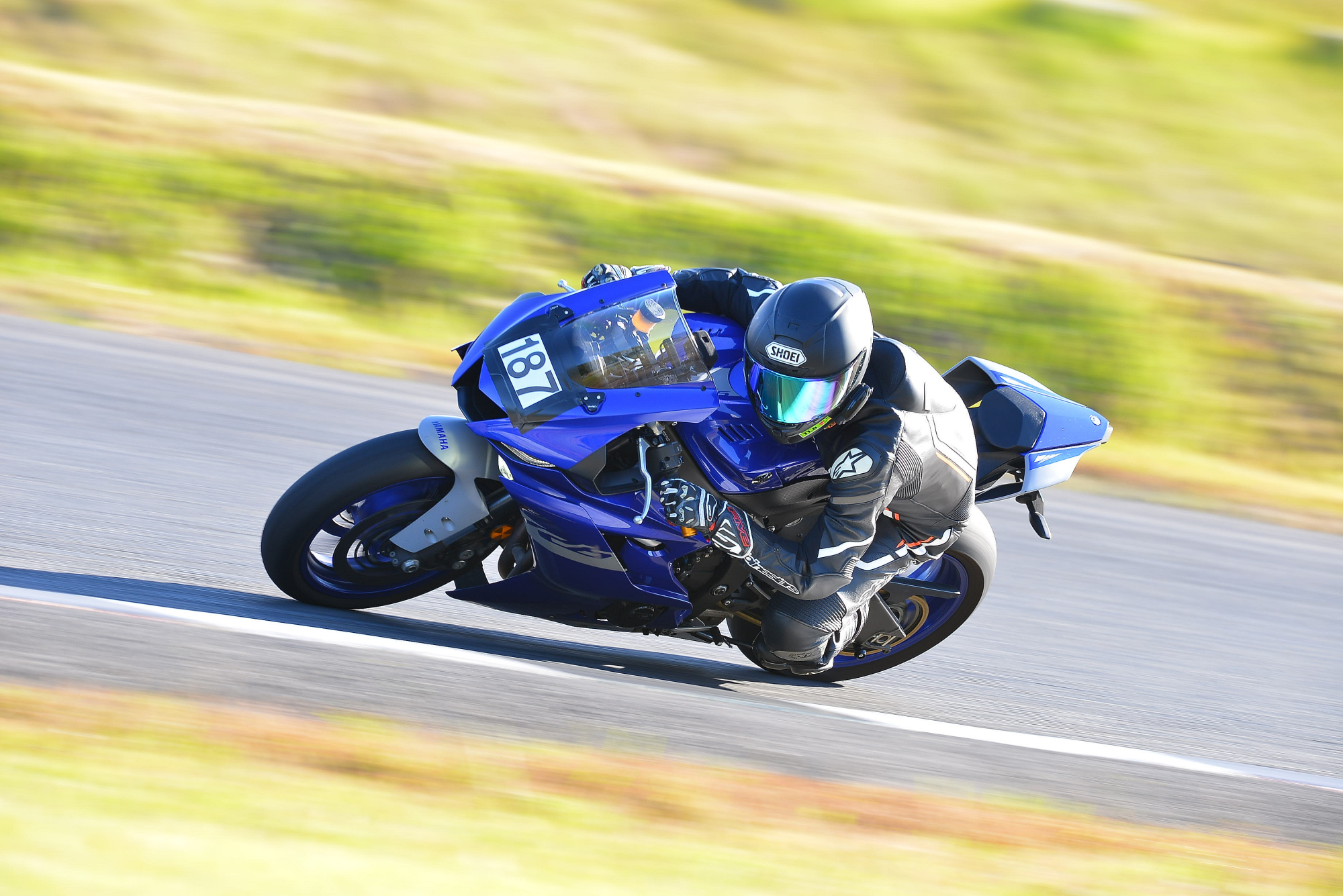 D8J_0891.JPG