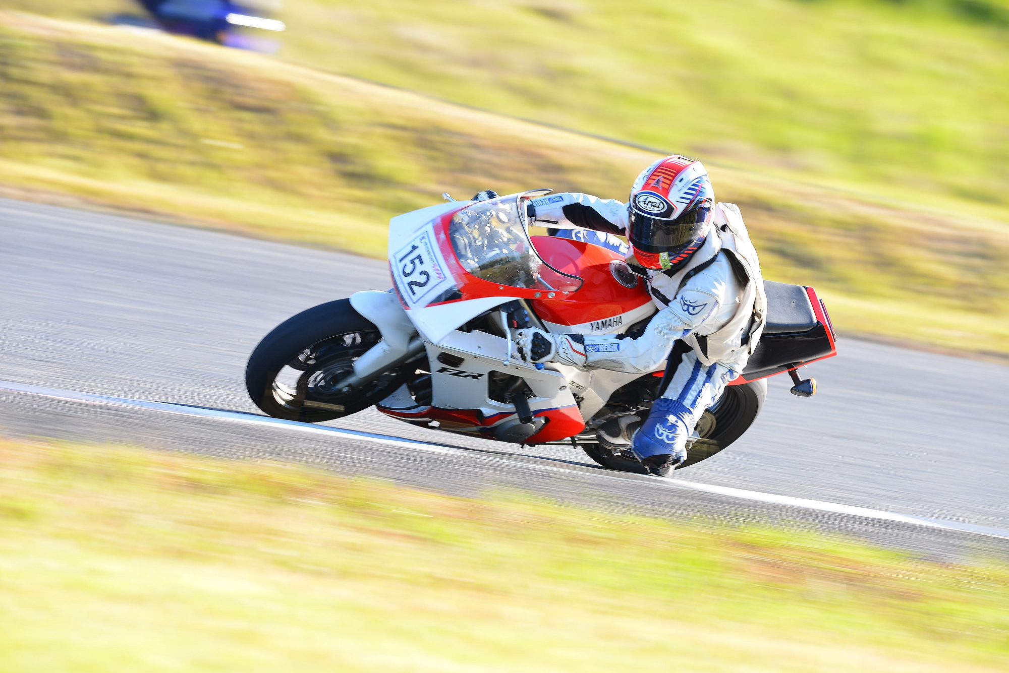 D8J_0915.JPG