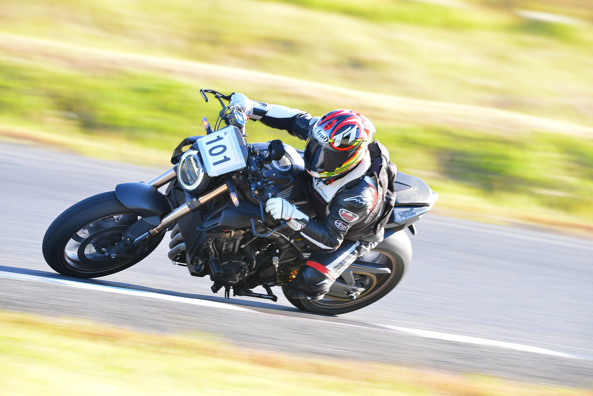 D8J_0943.JPG