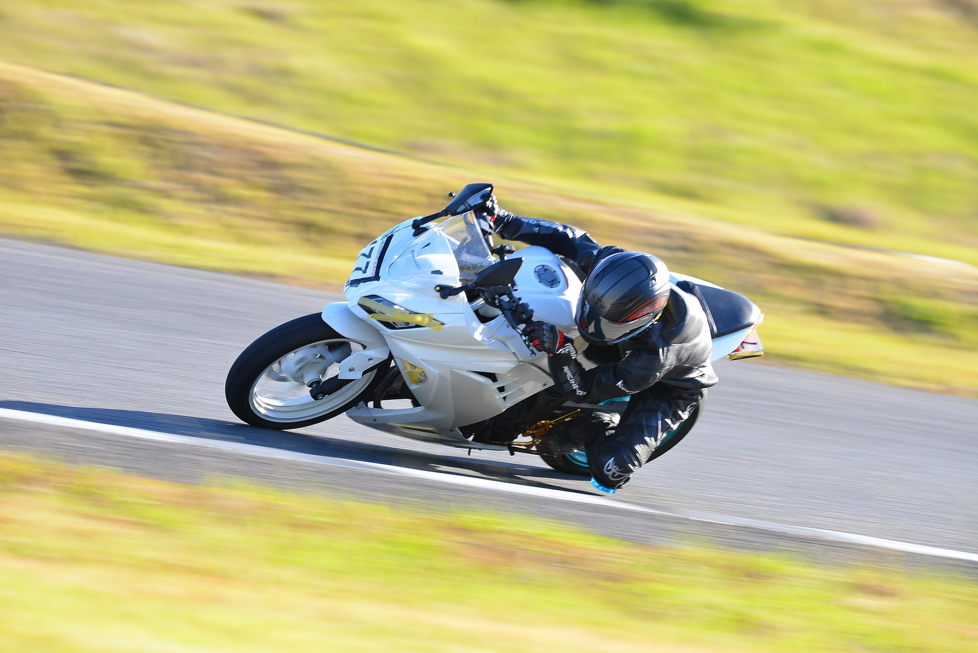 D8J_0967.JPG