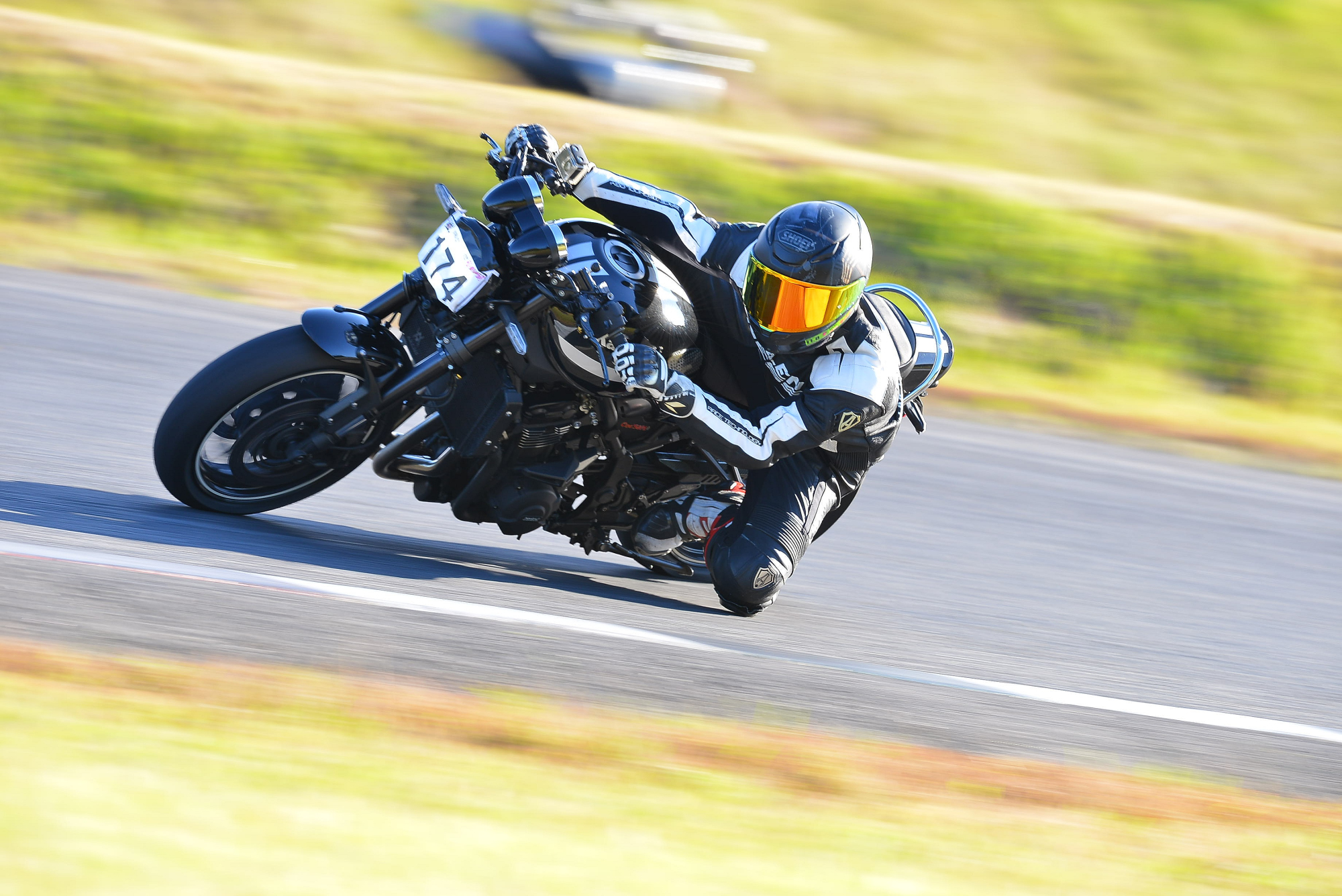 D8J_0979.JPG