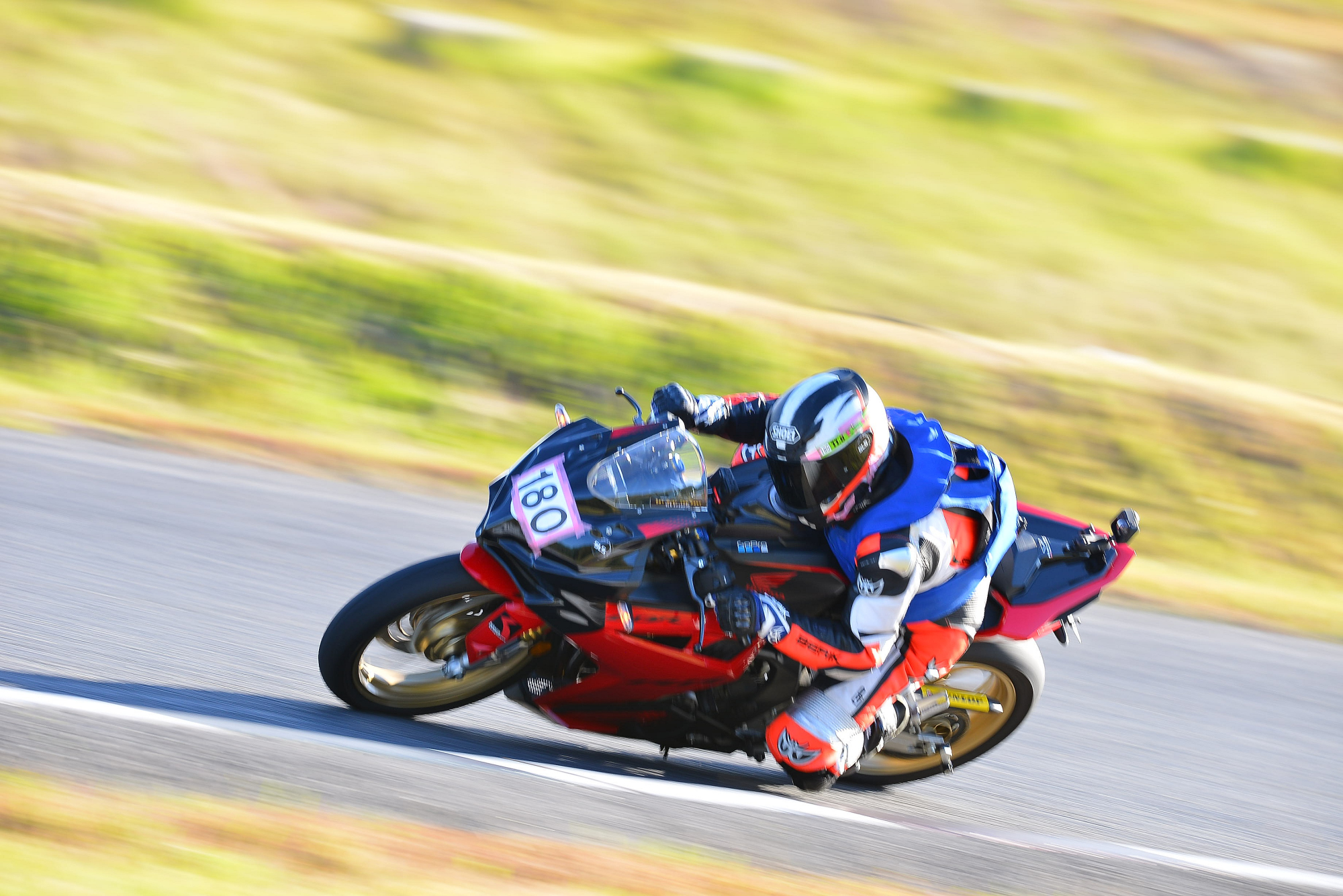 D8J_0981.JPG