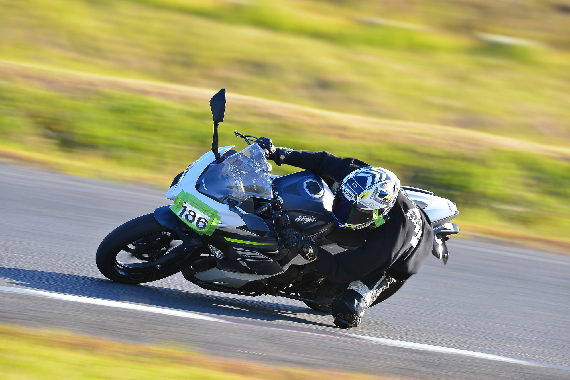 D8J_1010.JPG