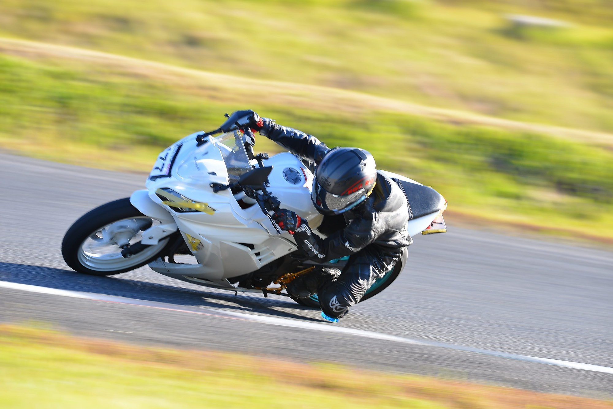 D8J_1013.JPG