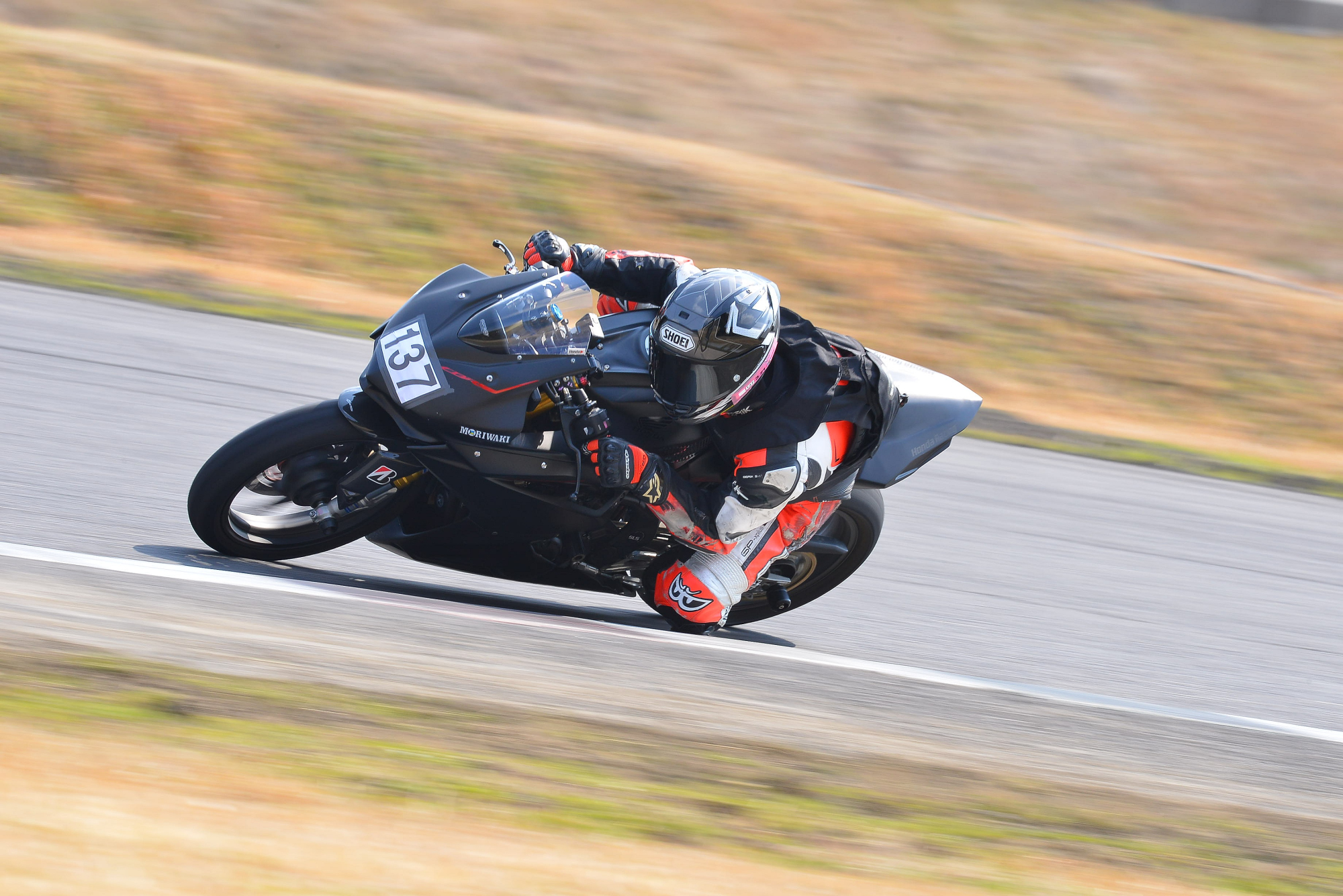 D8J_0042.JPG