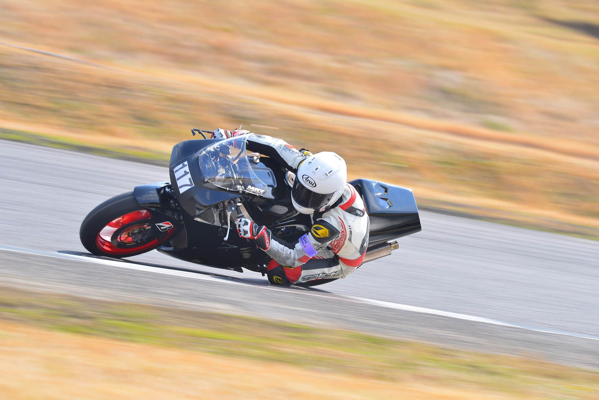 D8J_0071.JPG