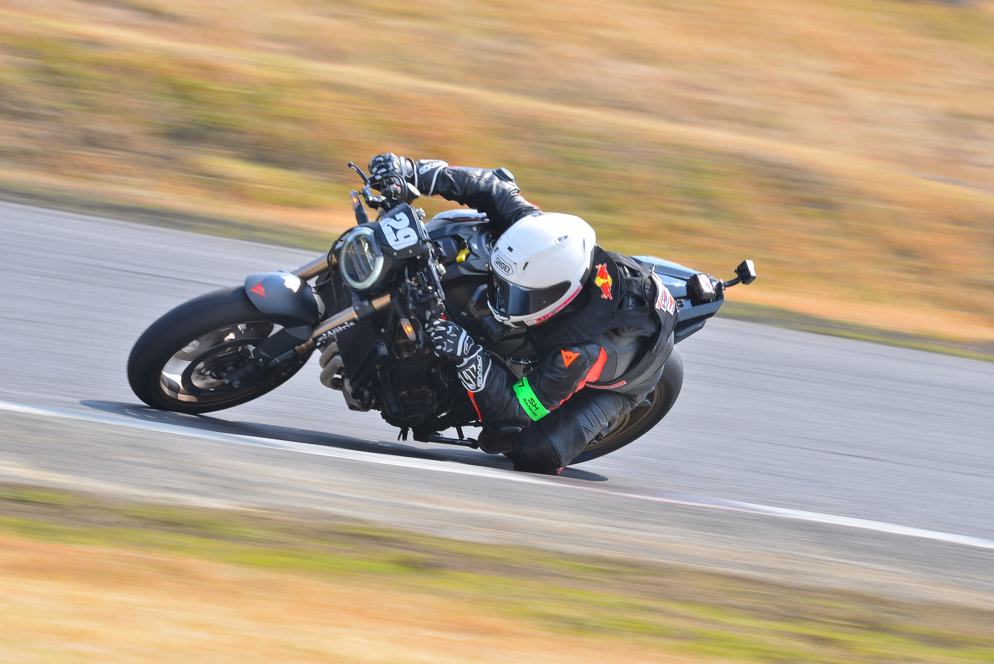 D8J_0083.JPG