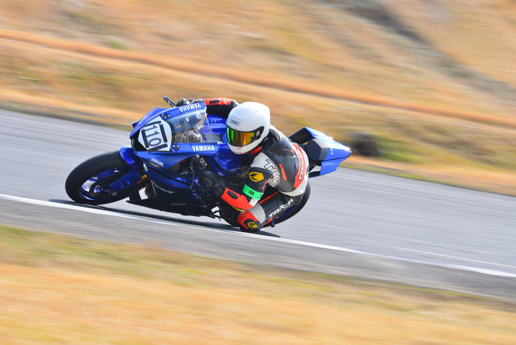 D8J_0084.JPG