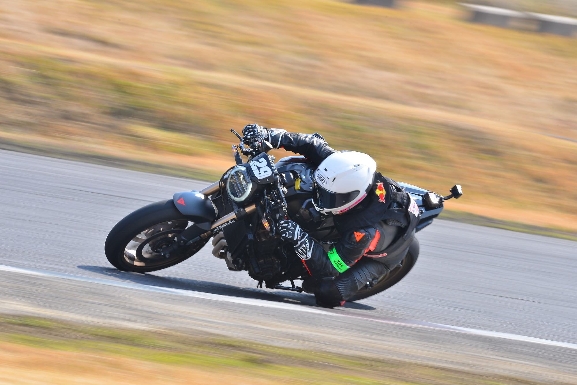 D8J_0110.JPG