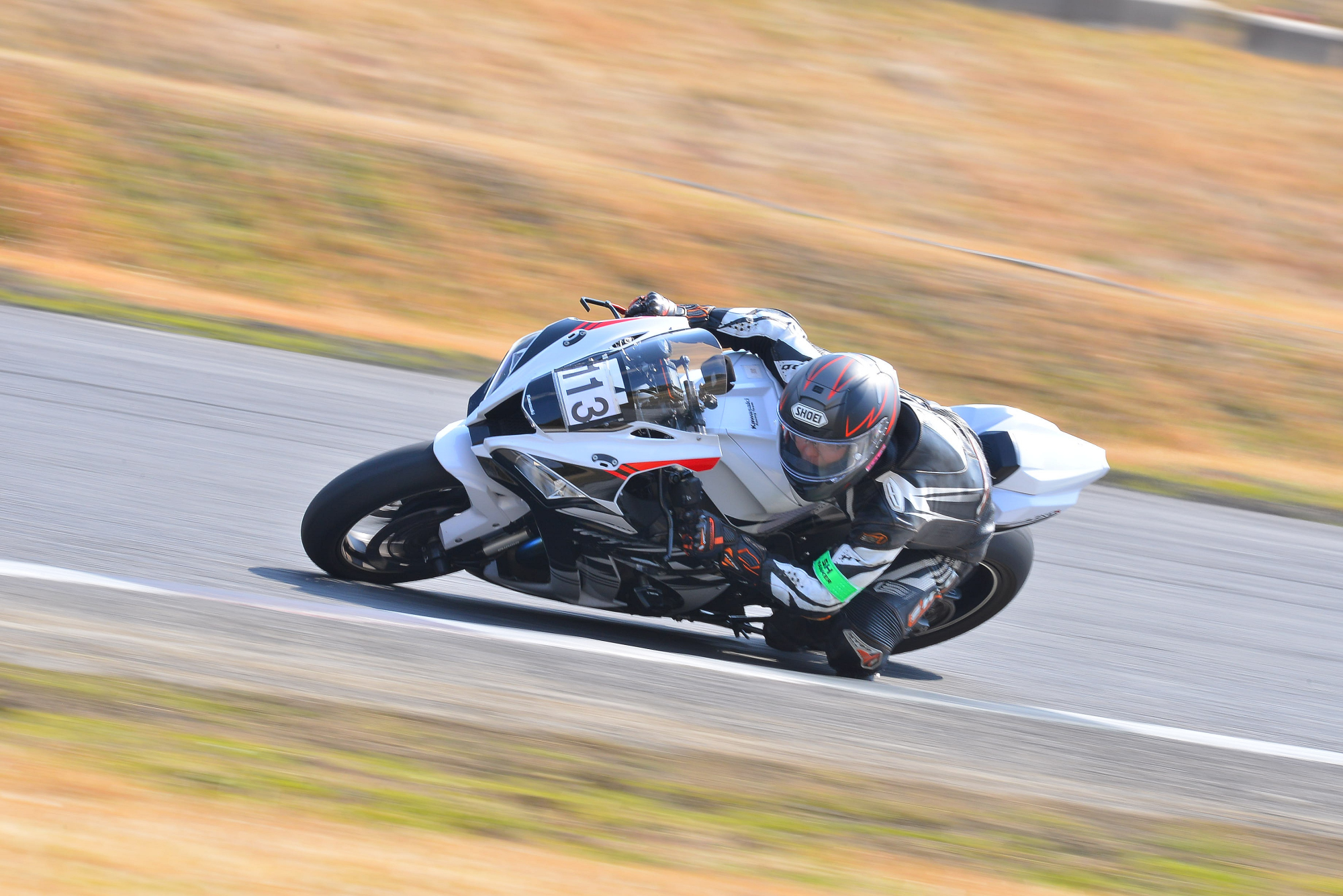 D8J_0131.JPG