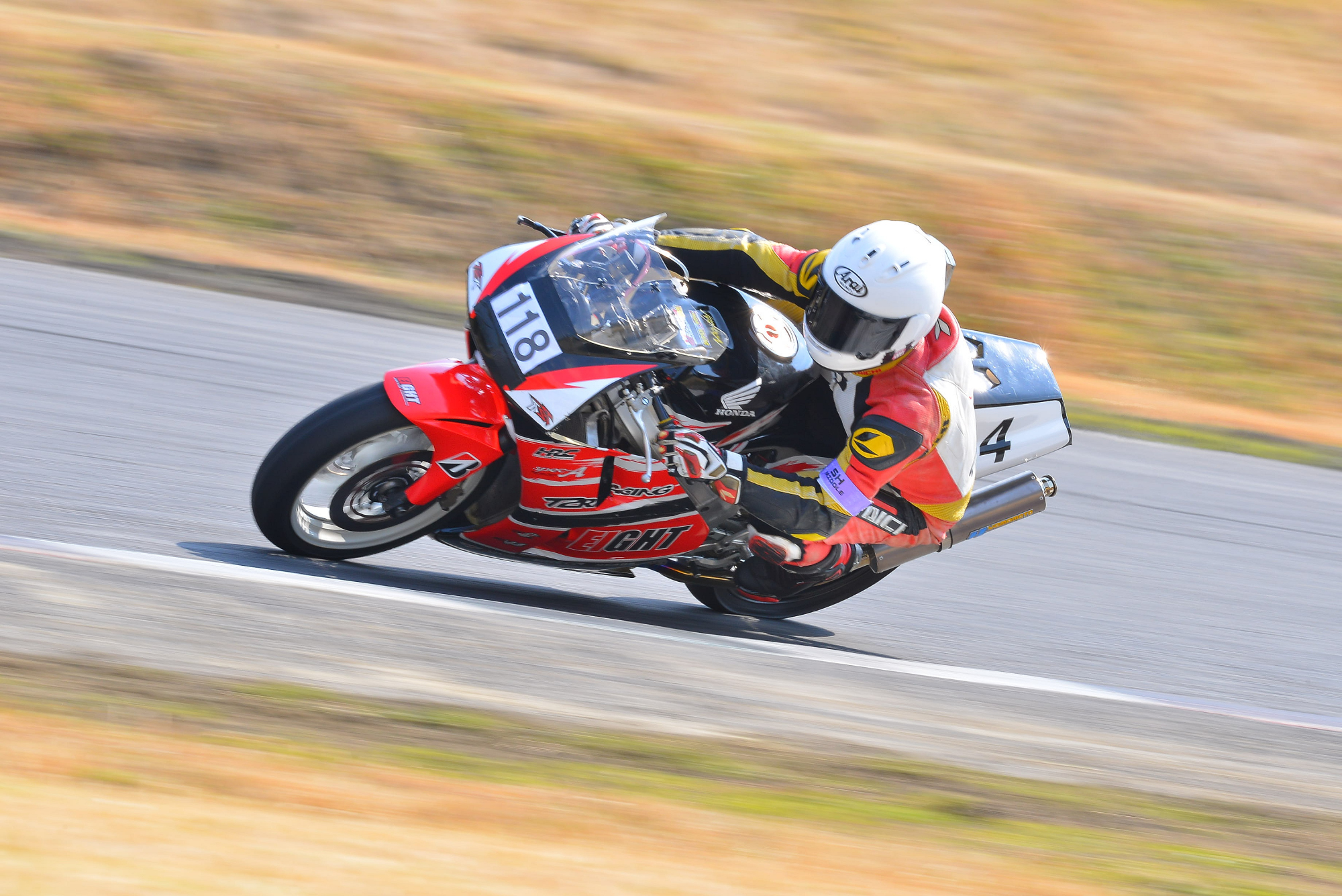 D8J_0141.JPG