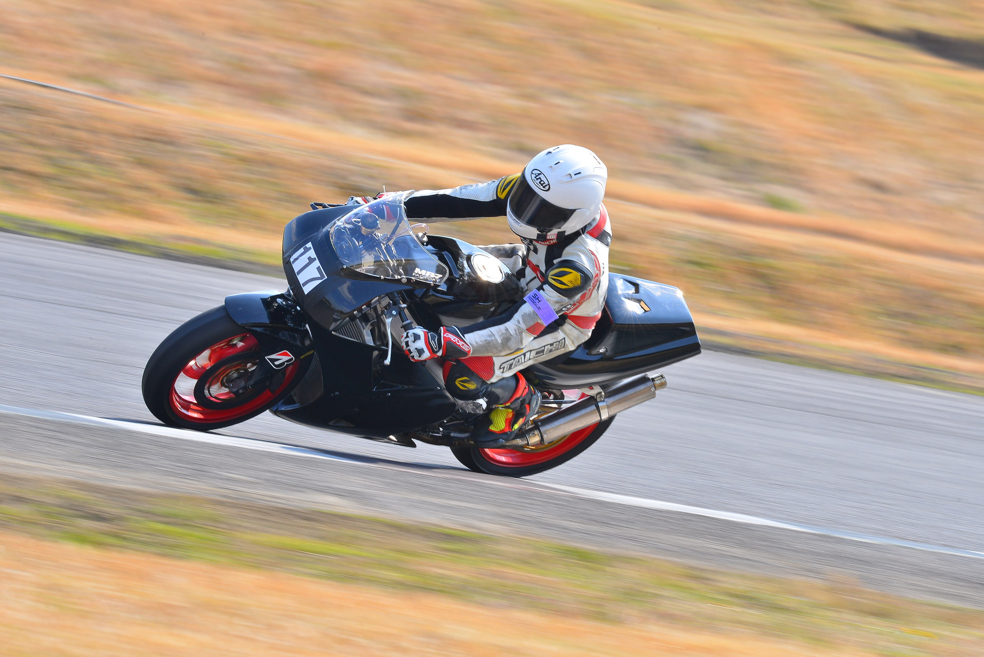 D8J_0151.JPG