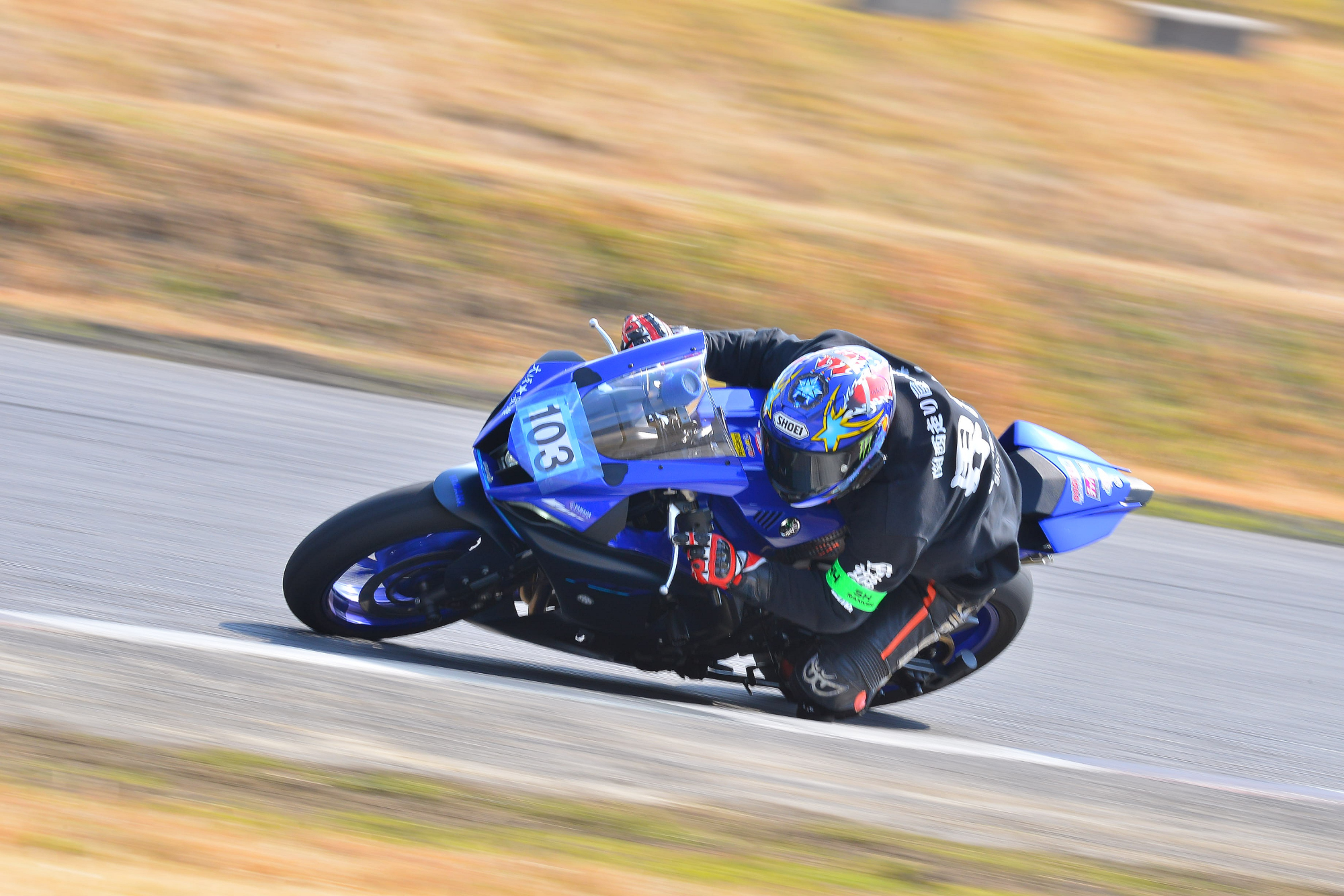 D8J_0153.JPG
