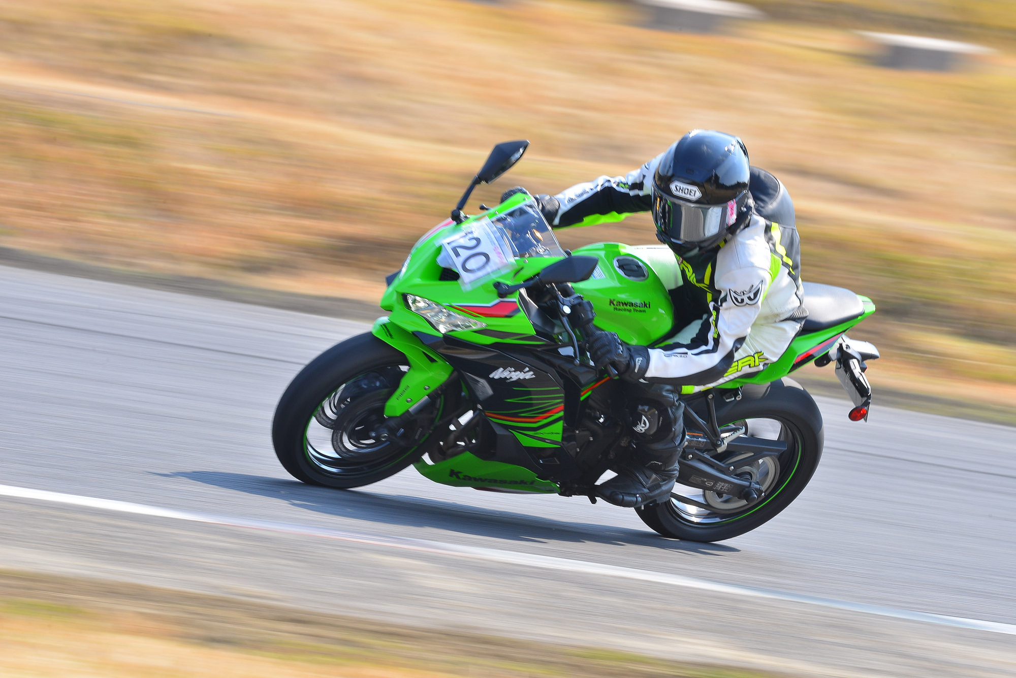 D8J_0166.JPG