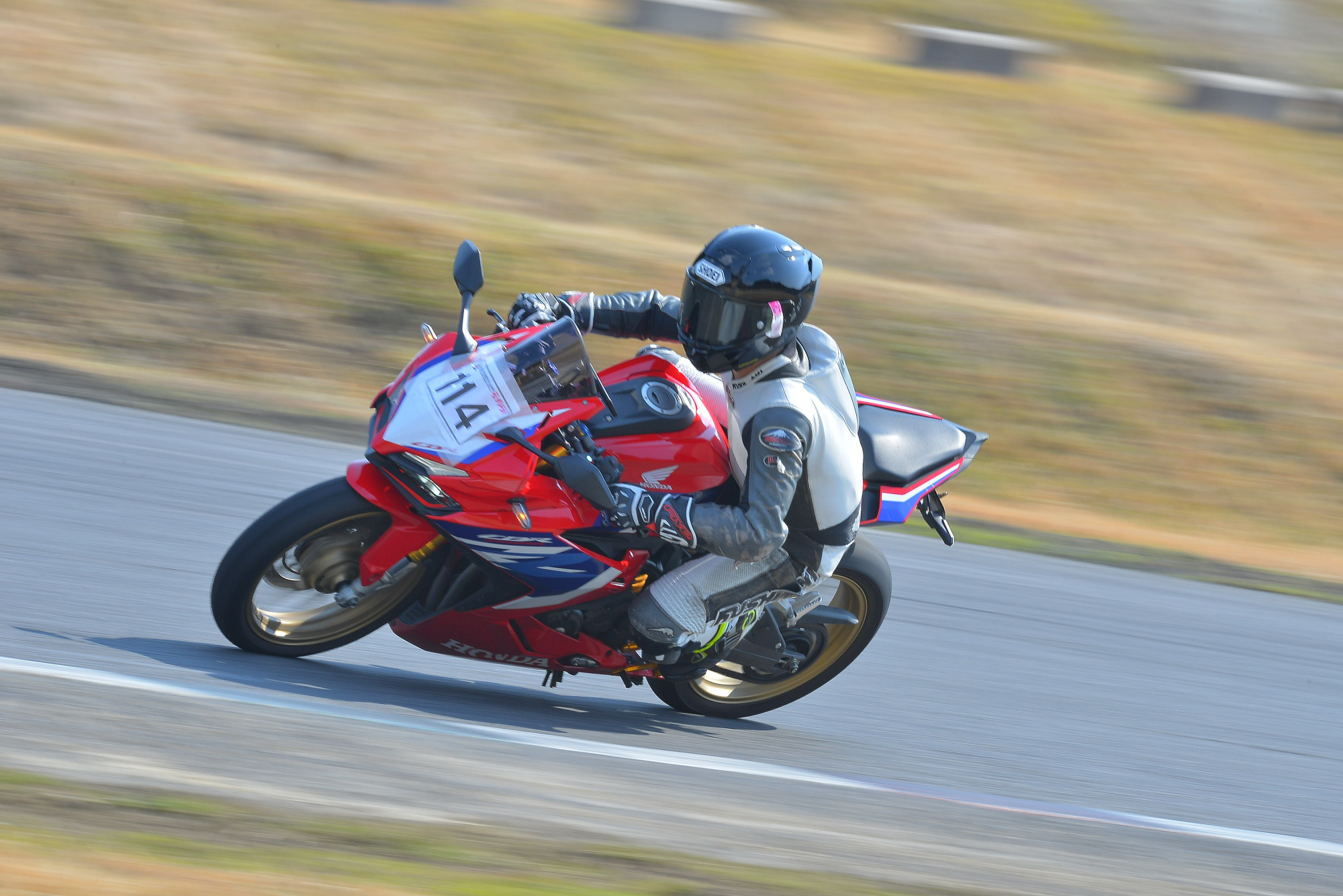 D8J_0275.JPG
