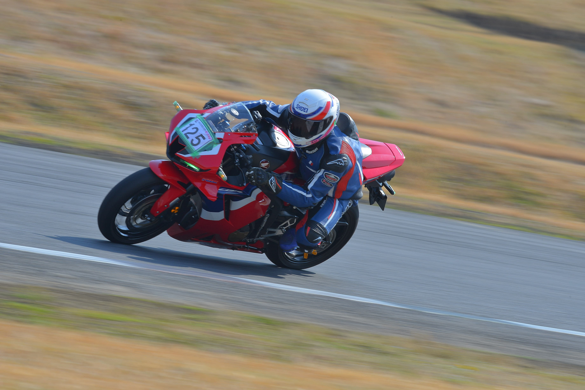 D8J_0288.JPG