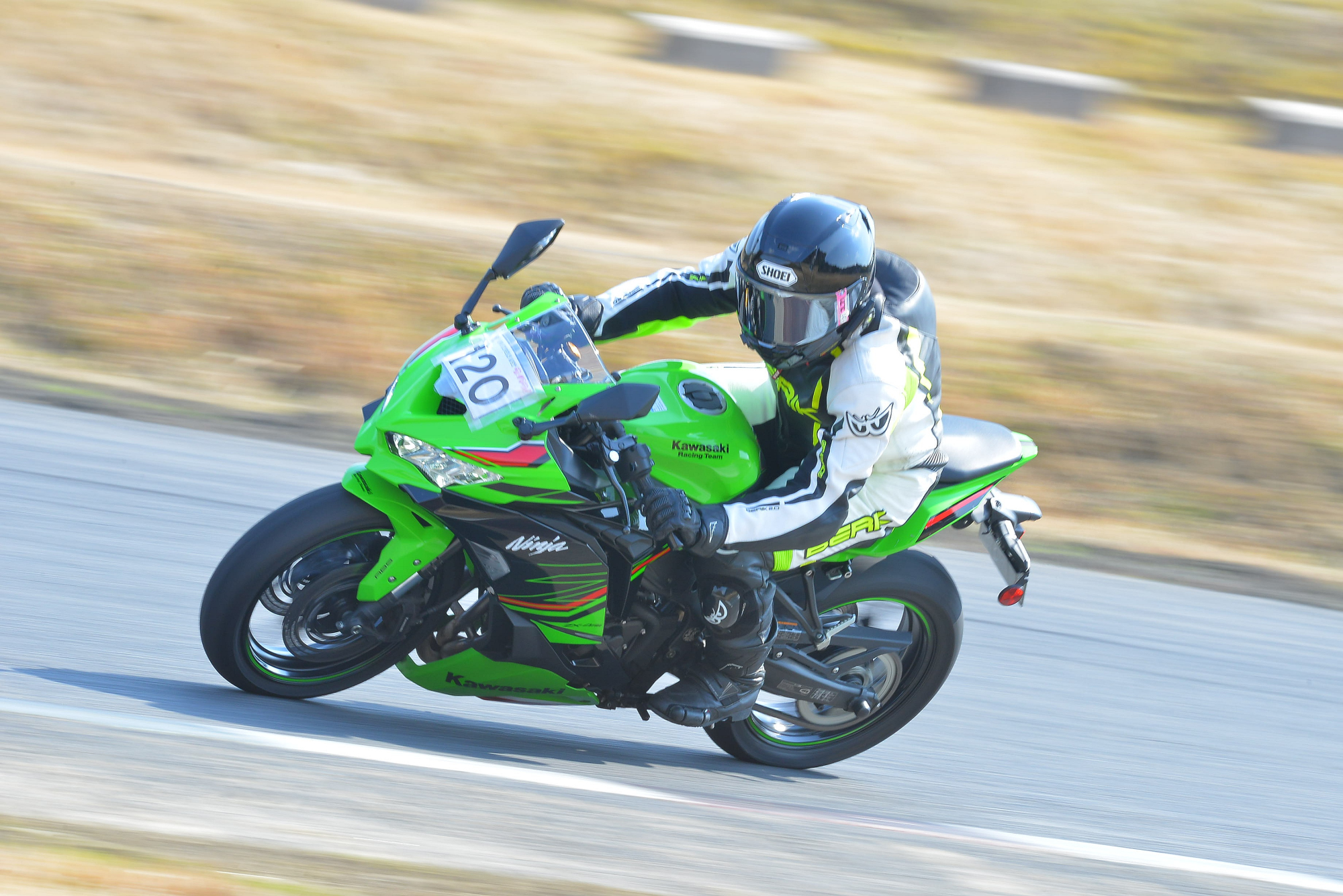 D8J_0310.JPG