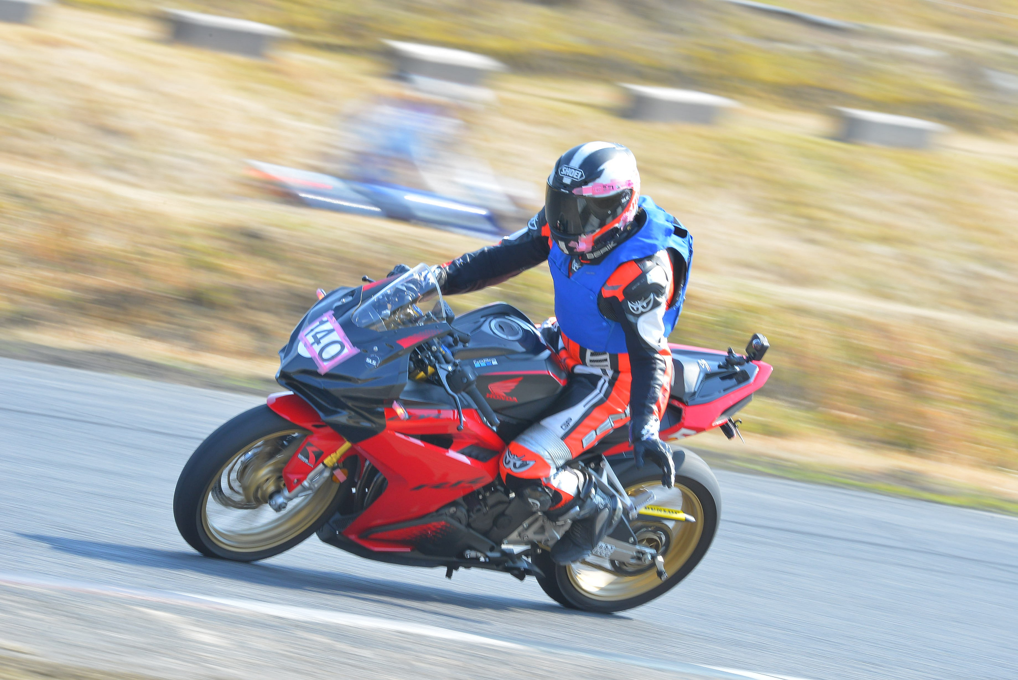 D8J_0363.JPG