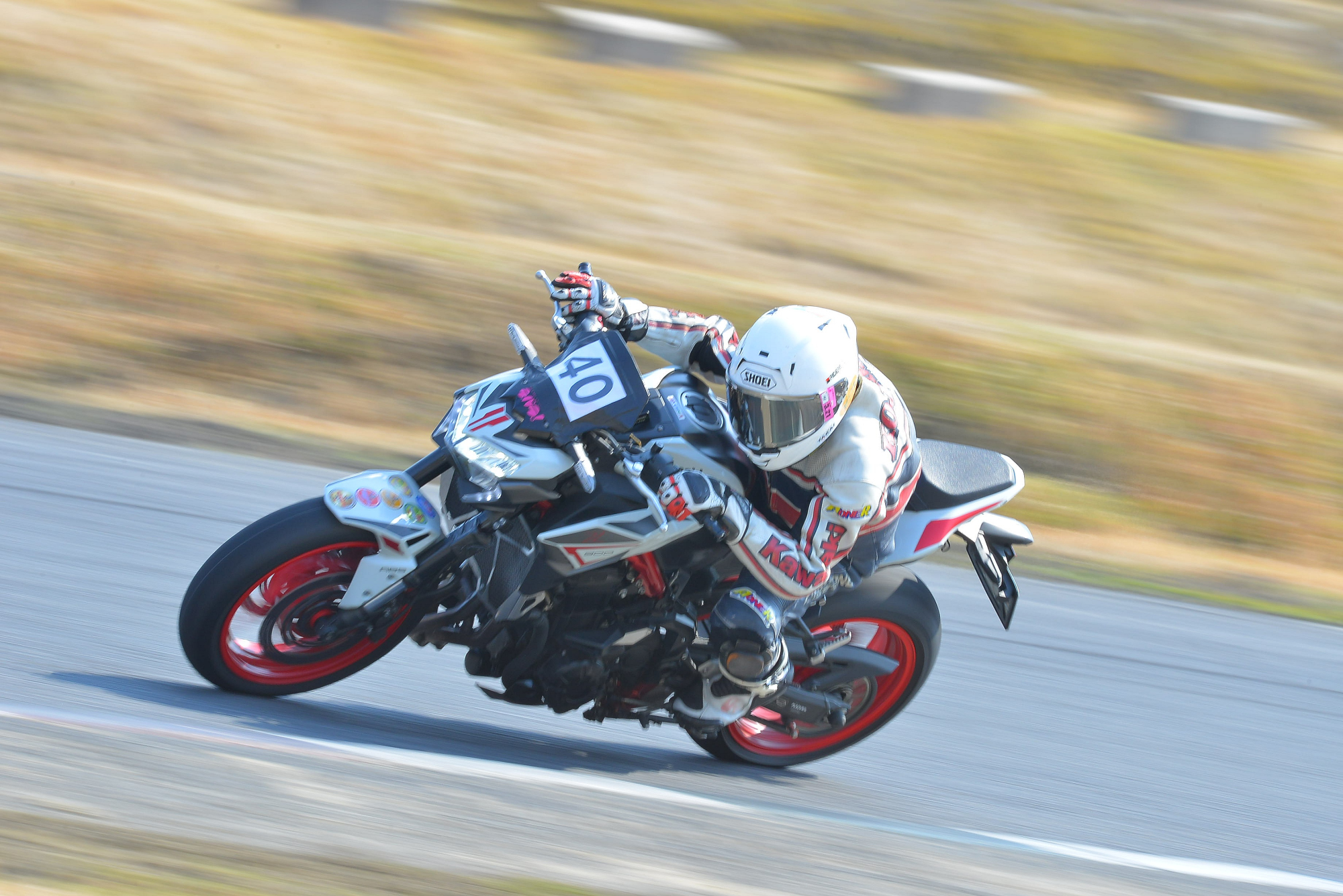 D8J_0379.JPG